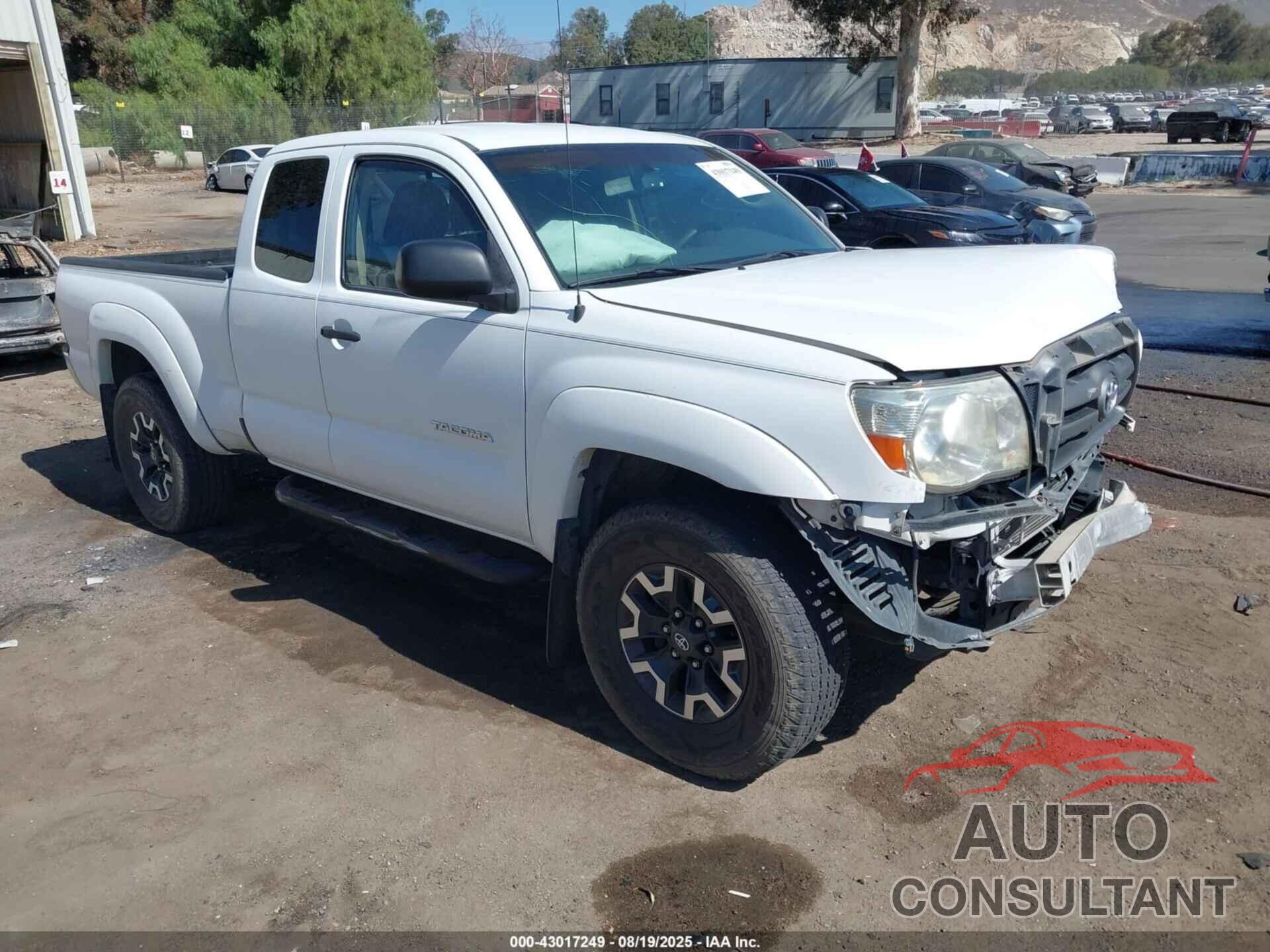 TOYOTA TACOMA 2009 - 5TETU62N69Z655435