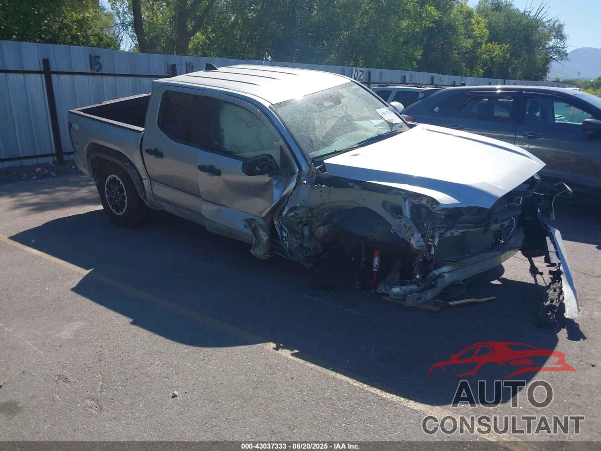 TOYOTA TACOMA 2024 - 3TMLB5JN6RM052855