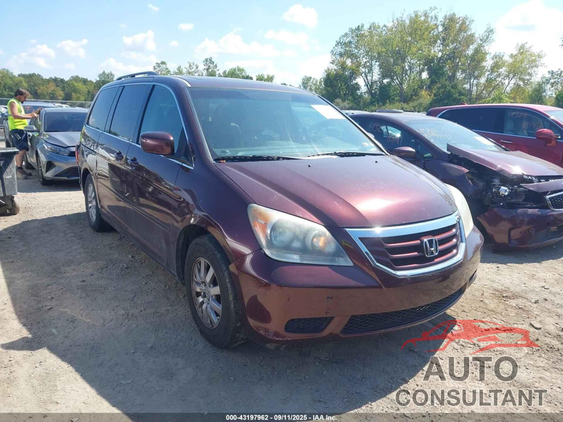 HONDA ODYSSEY 2010 - 5FNRL3H66AB021057