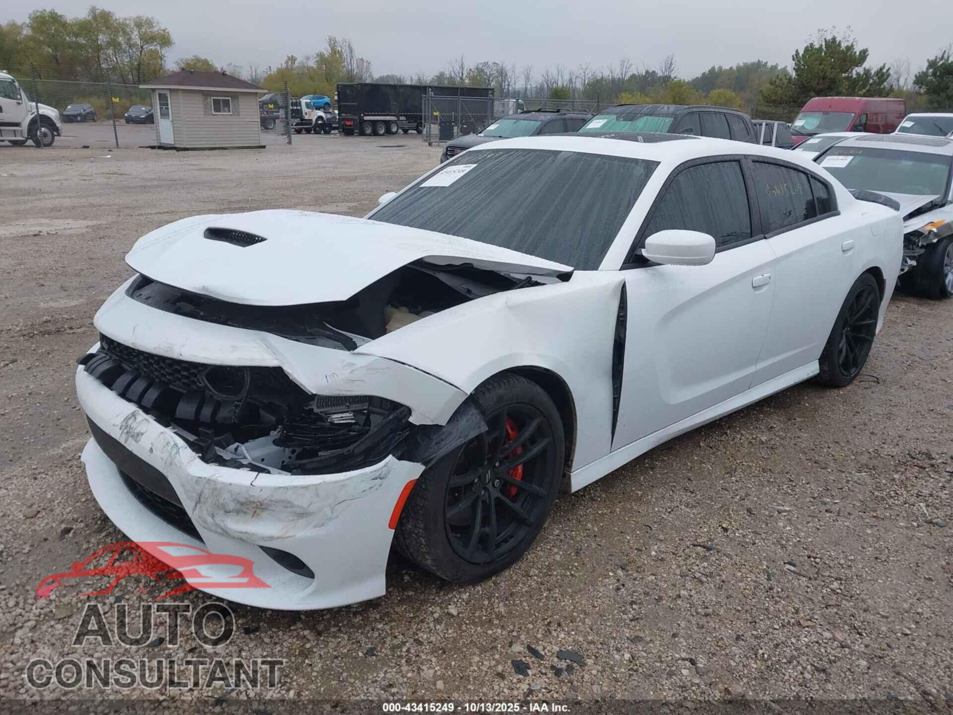 DODGE CHARGER 2019 - 2C3CDXGJ5KH661809
