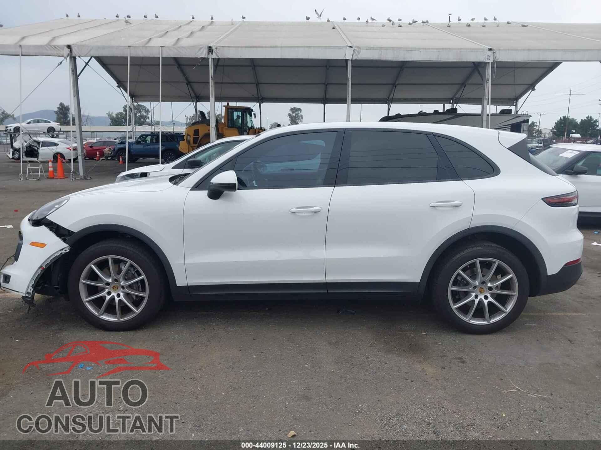 PORSCHE CAYENNE 2019 - WP1AA2AY7KDA06910