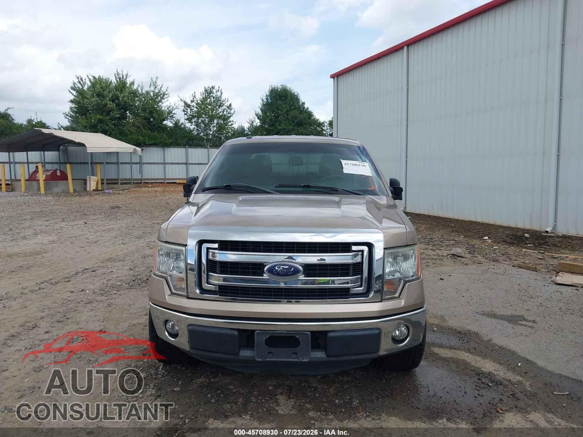 FORD F-150 2013 - 1FTEW1CM2DFD77733