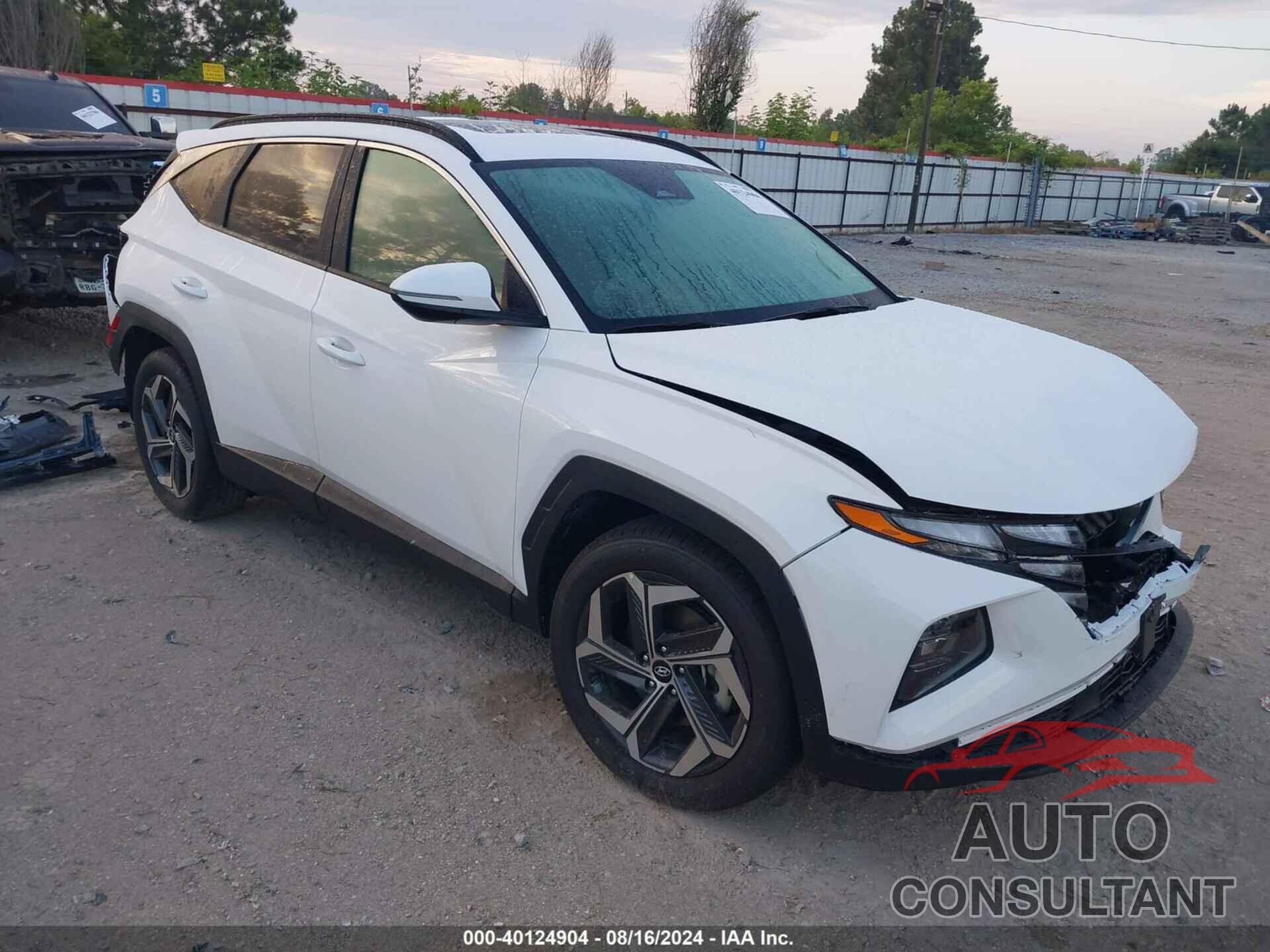 HYUNDAI TUCSON 2024 - 5NMJF3DE9RH439074