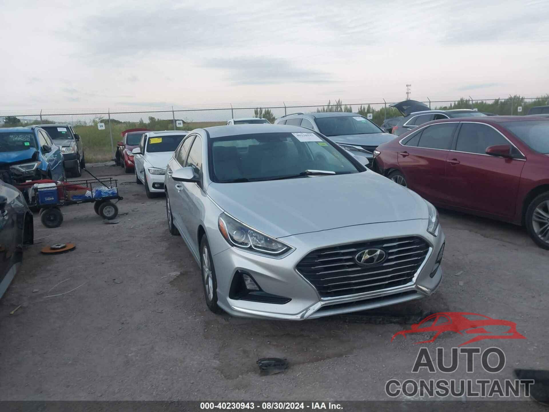 HYUNDAI SONATA 2019 - 5NPE24AF3KH789051