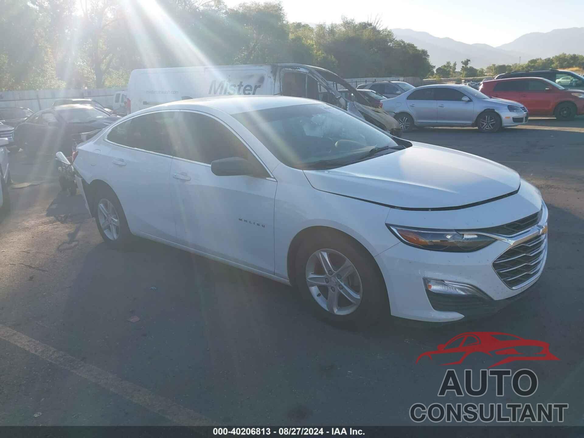 CHEVROLET MALIBU 2019 - 1G1ZB5ST3KF130756
