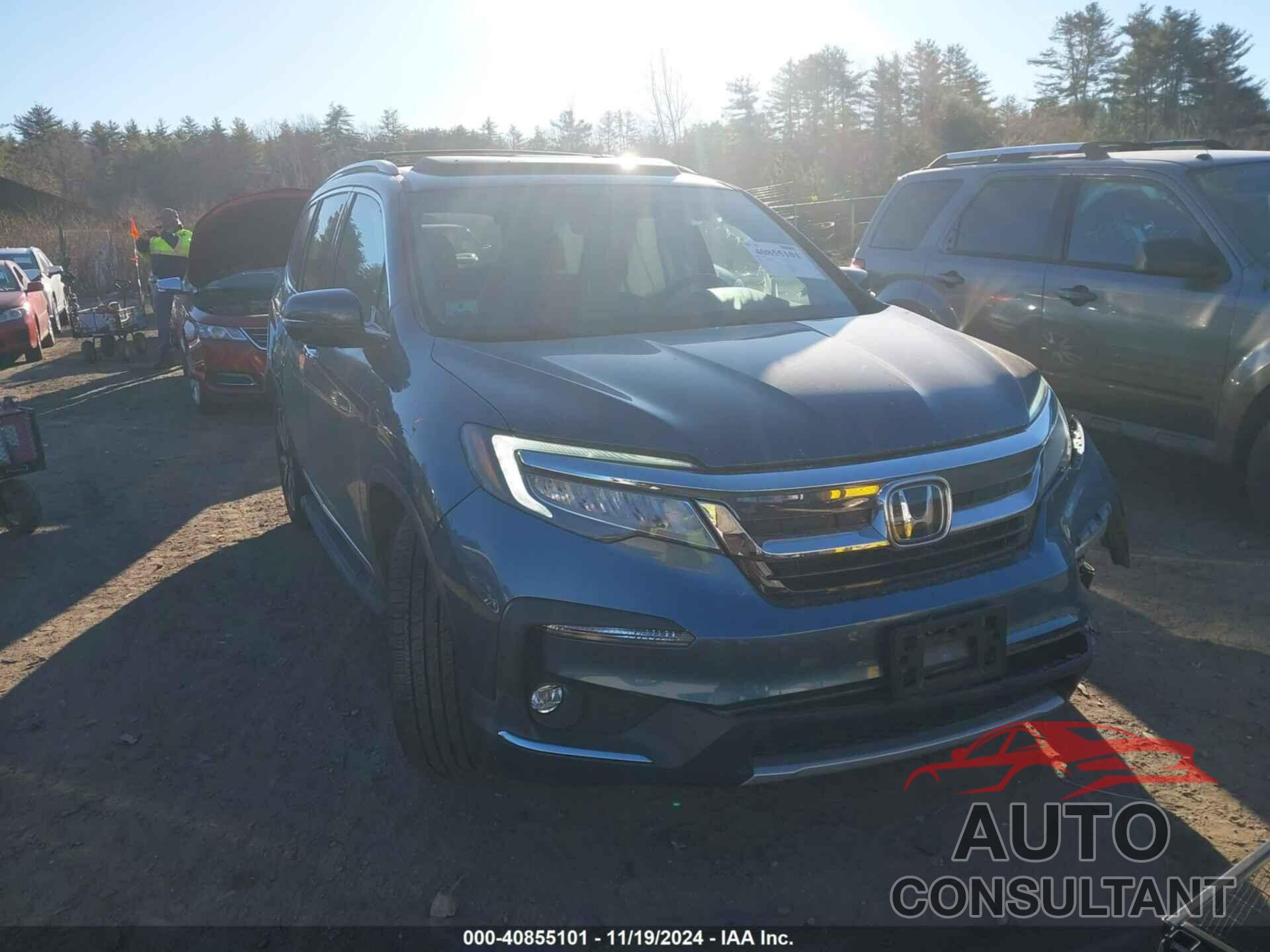 HONDA PILOT 2019 - 5FNYF6H93KB077005