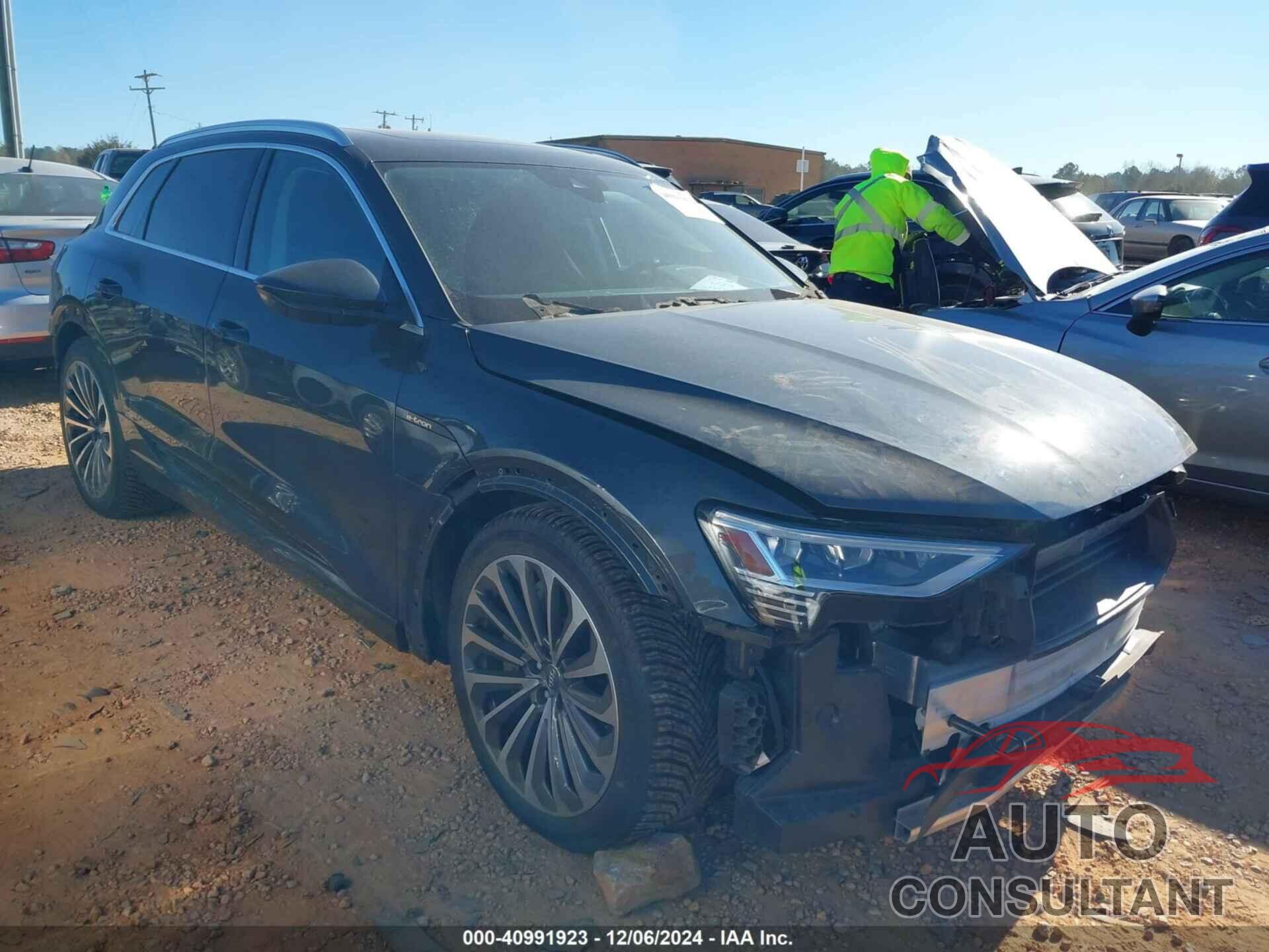 AUDI E-TRON 2019 - WA1VABGE2KB024625