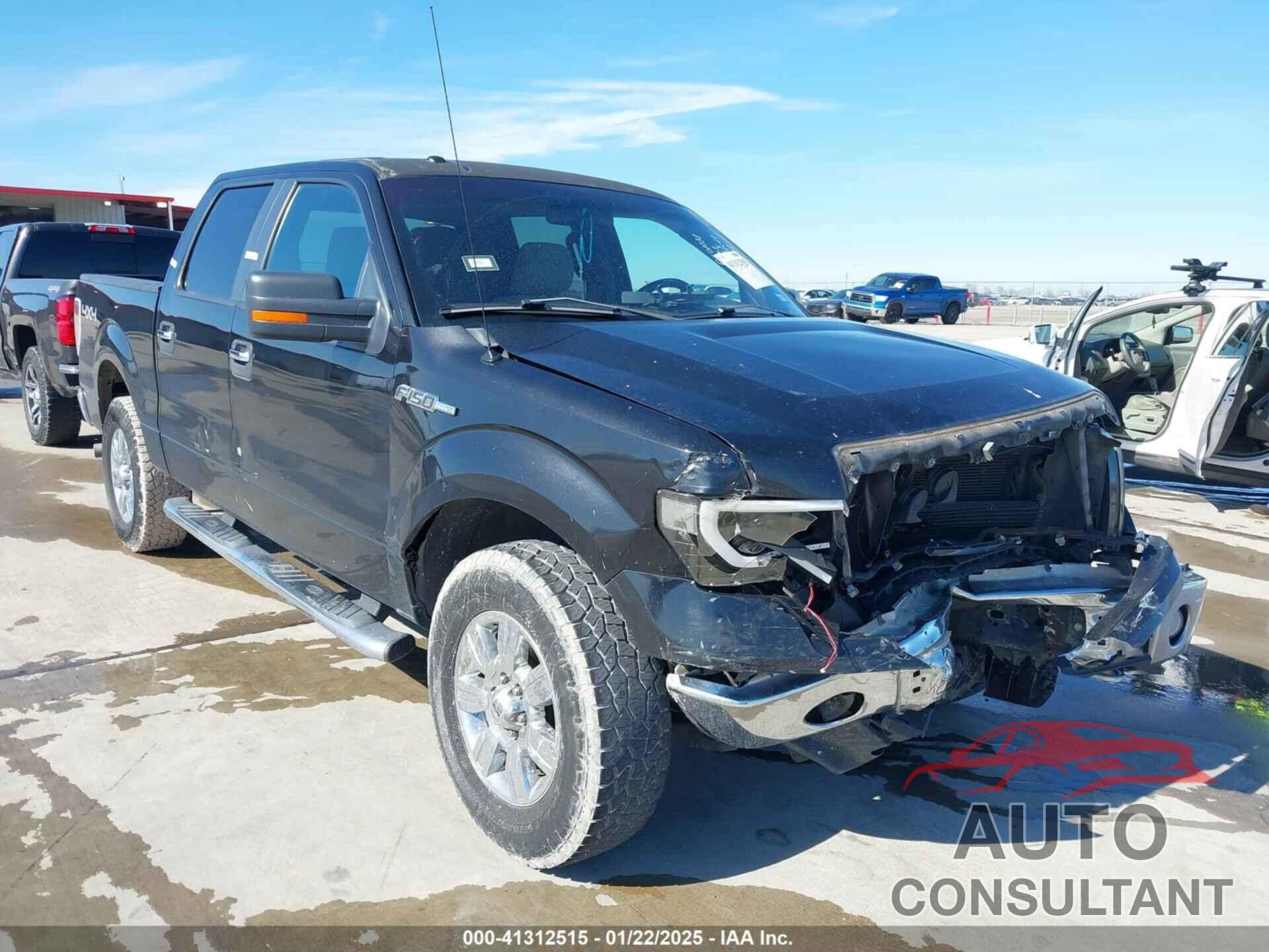 FORD F-150 2010 - 1FTEW1E87AFC49449