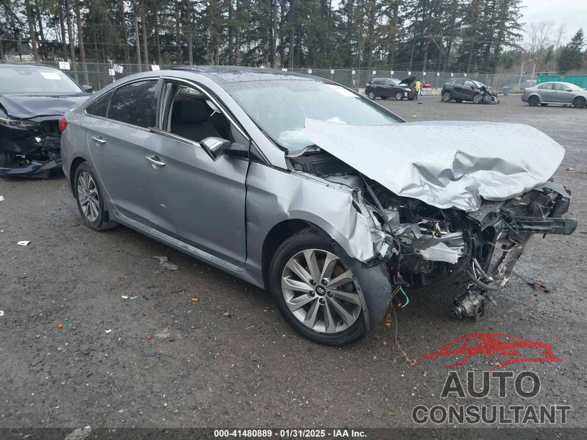 HYUNDAI SONATA 2016 - 5NPE34AF2GH396808