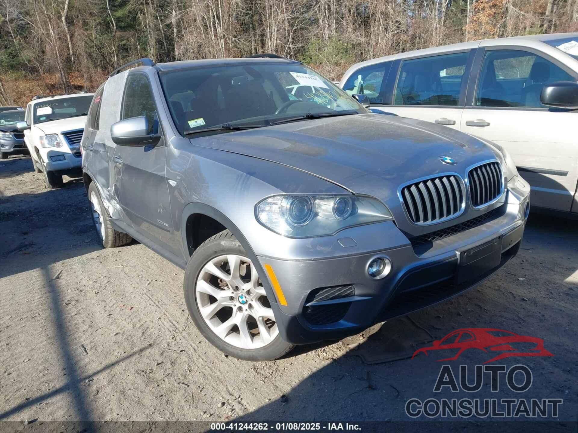 BMW X5 2011 - 5UXZV4C50BL413141