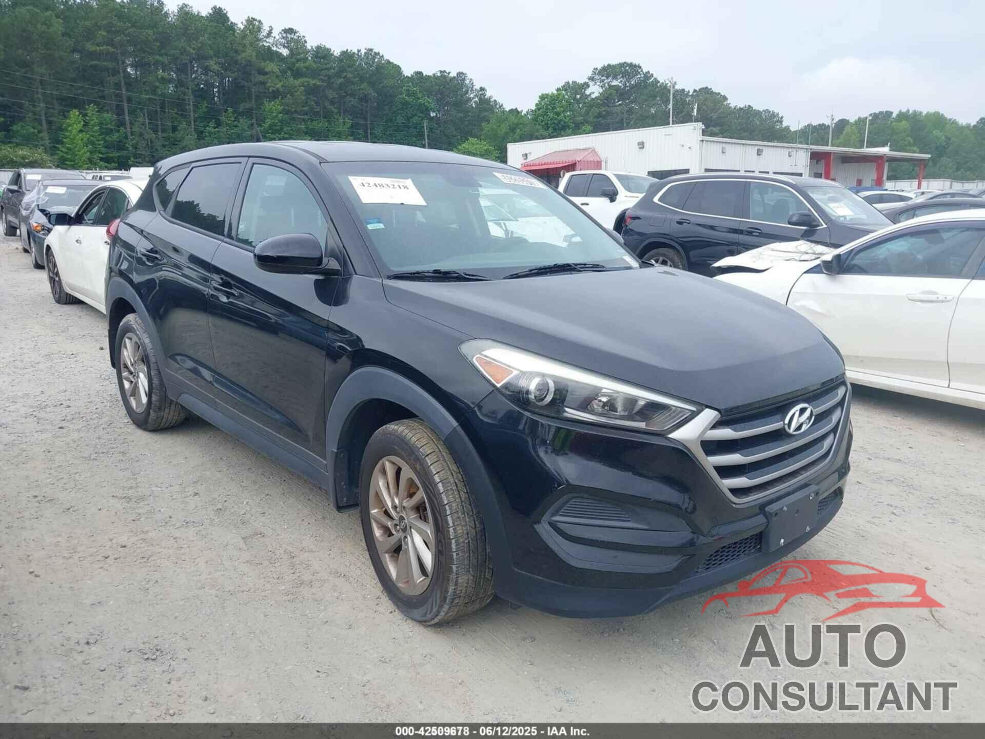 HYUNDAI TUCSON 2017 - KM8J23A43HU336498