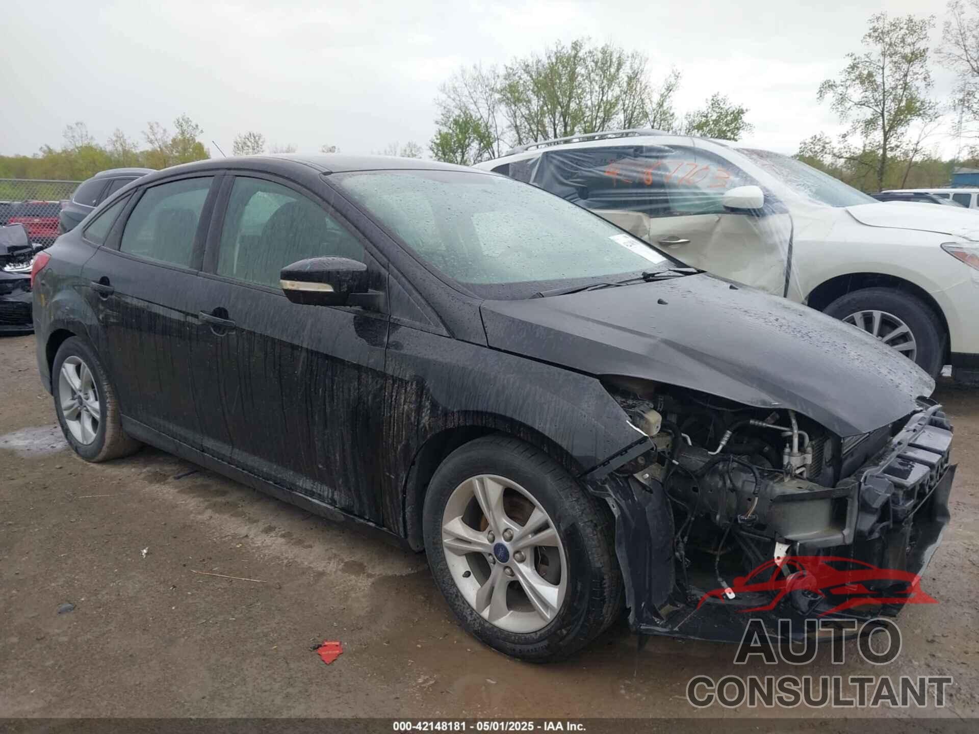 FORD FOCUS 2014 - 1FADP3F25EL439519