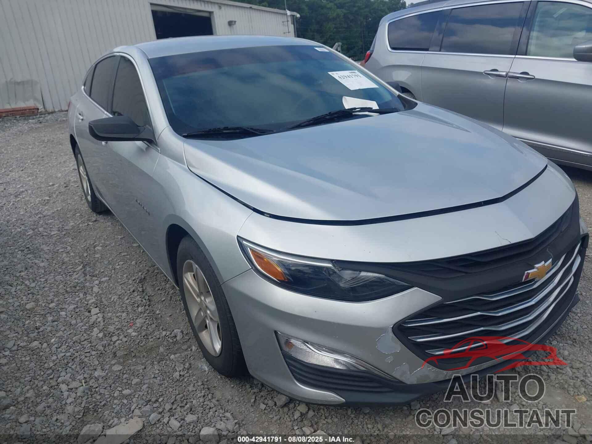 CHEVROLET MALIBU 2019 - 1G1ZB5ST9KF116439