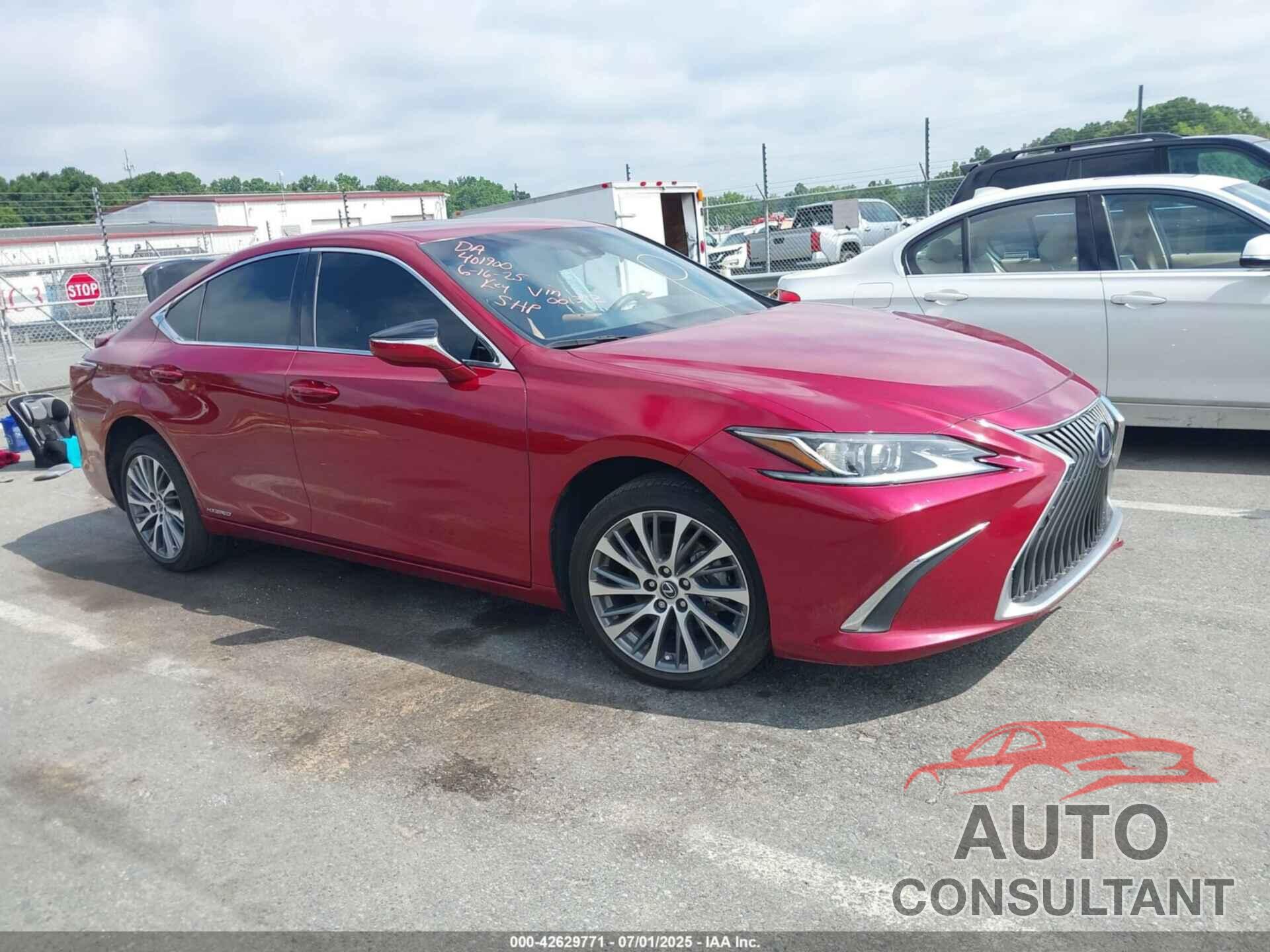 LEXUS ES 300H 2021 - 58ADA1C18MU001392