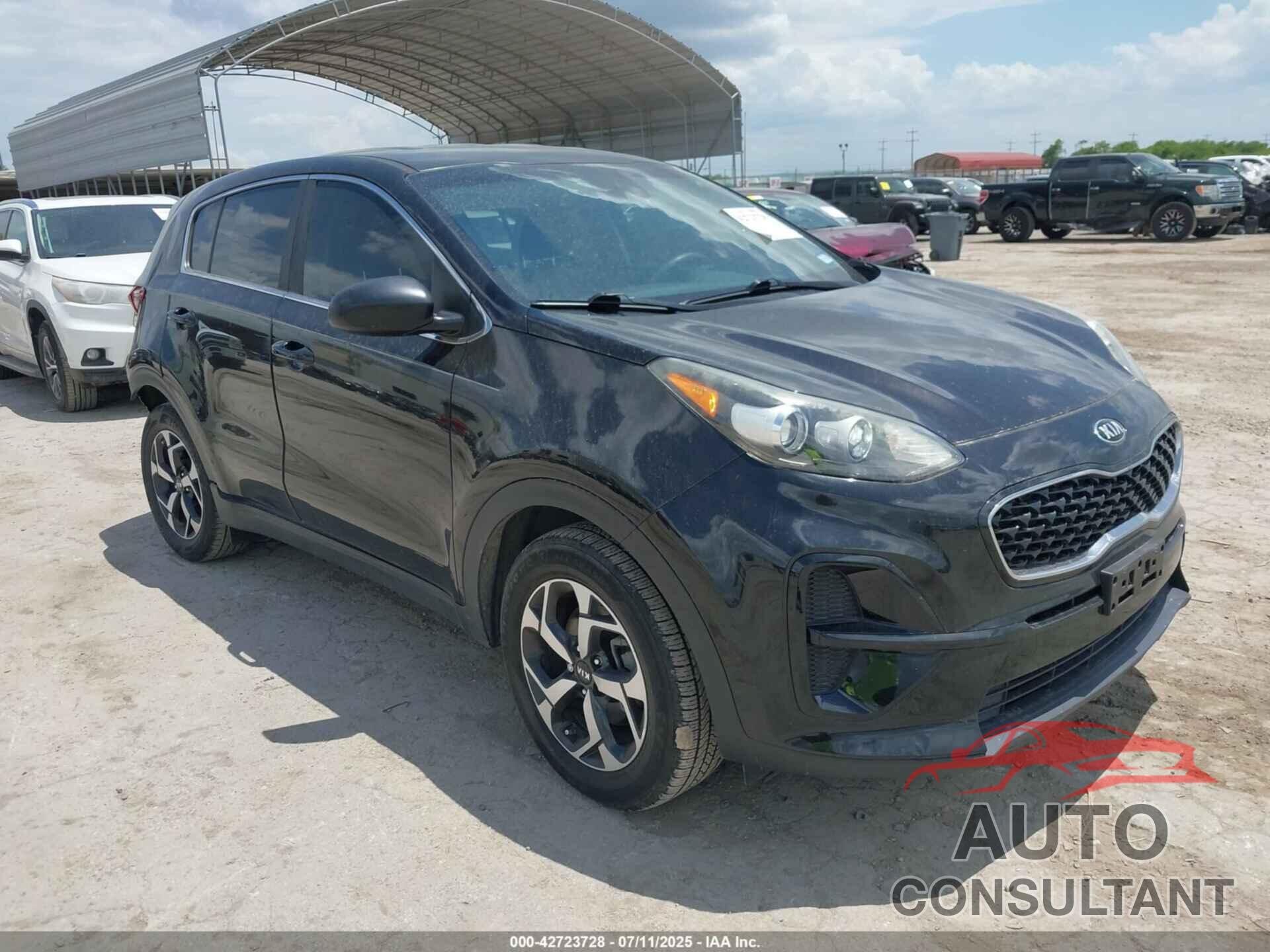 KIA SPORTAGE 2020 - KNDPM3AC9L7781173