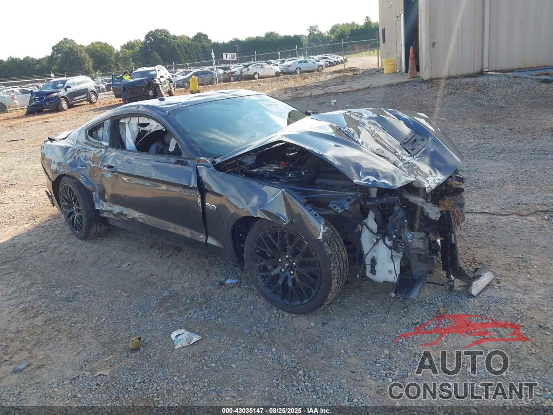 FORD MUSTANG 2019 - 1FA6P8CFXK5166560
