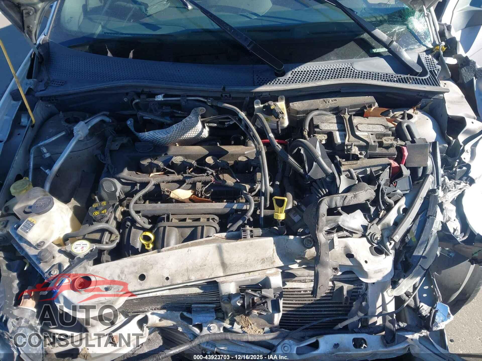 FORD FOCUS 2009 - 1FAHP33N29W202071