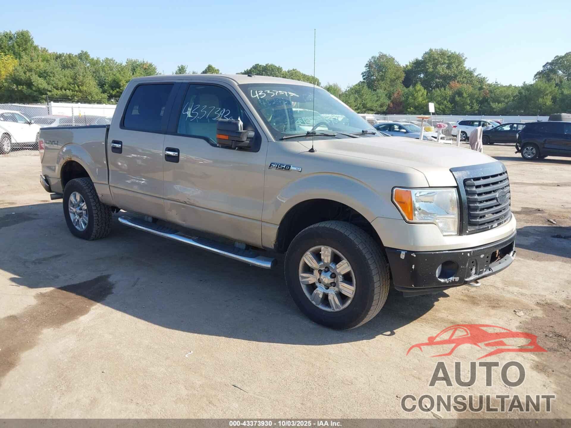 FORD F-150 2010 - 1FTFW1EV0AFC89415