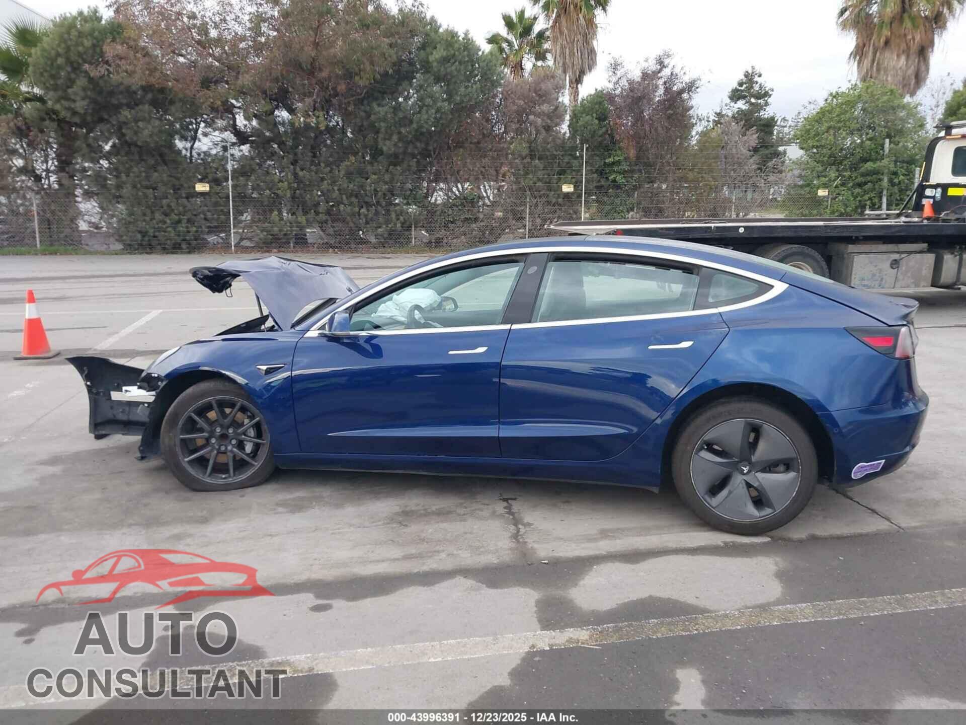 TESLA MODEL 3 2019 - 5YJ3E1EA2KF299534
