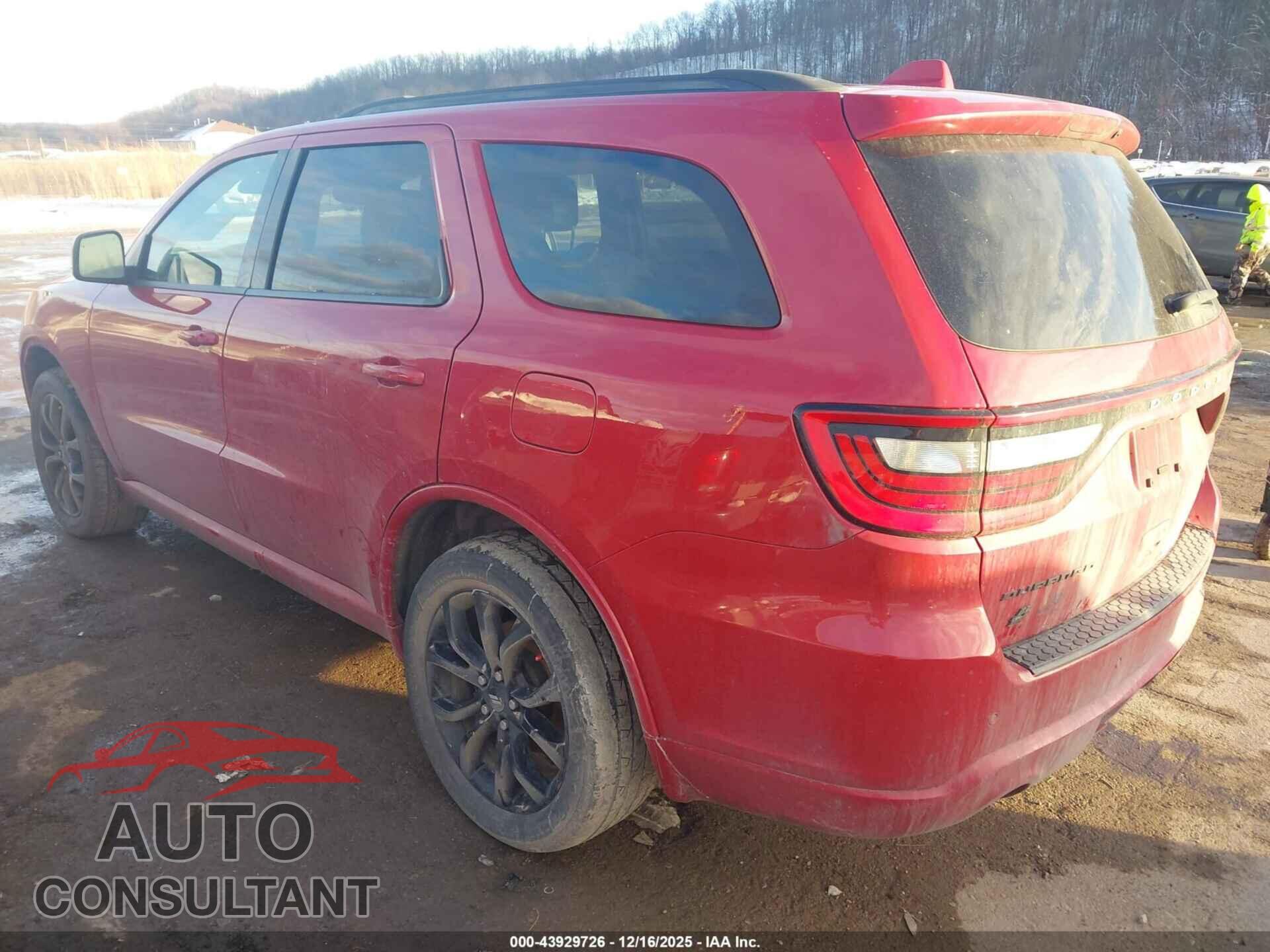 DODGE DURANGO 2019 - 1C4RDJDG6KC586164