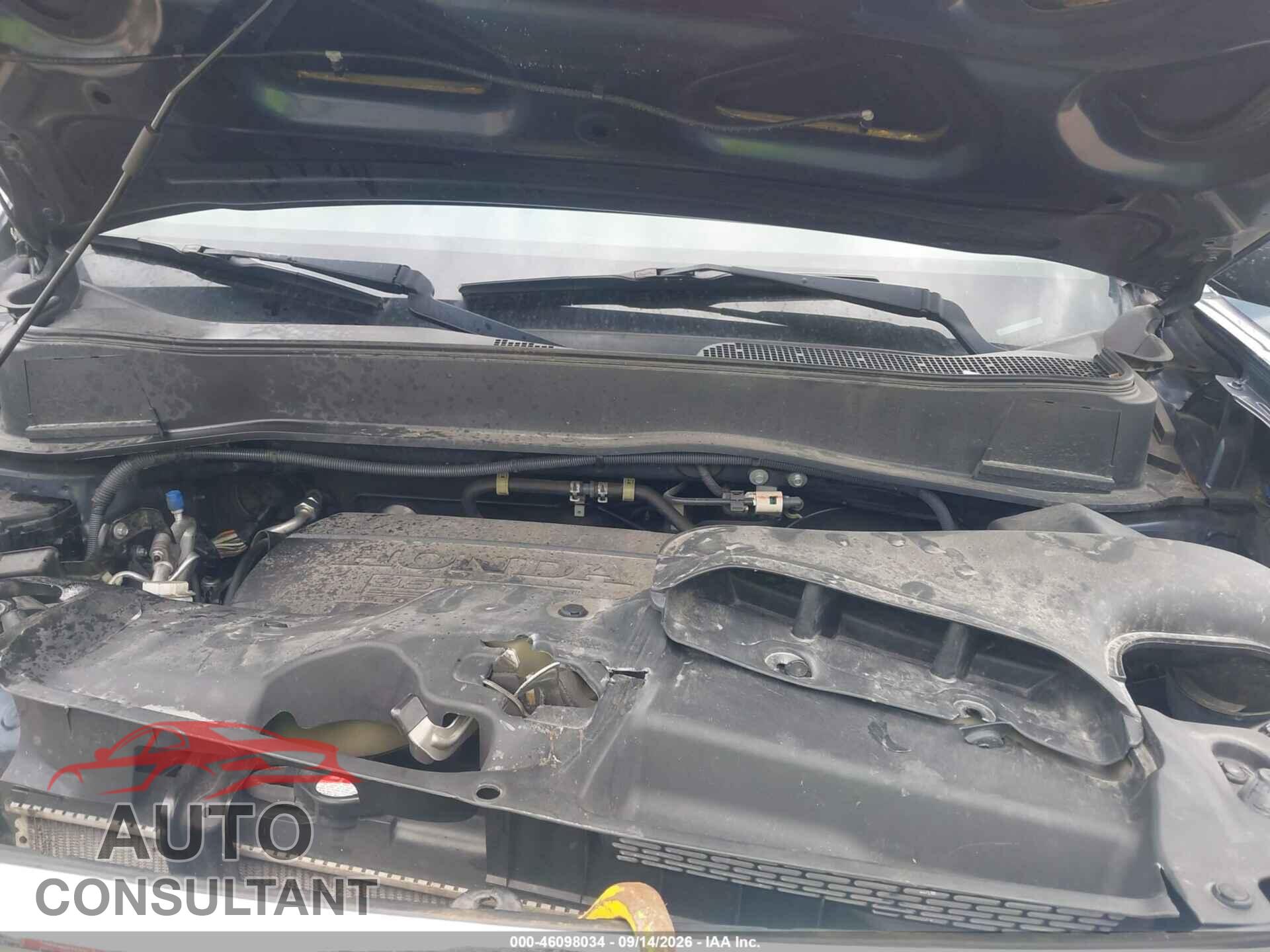 HONDA PILOT 2011 - 5FNYF3H28BB042526