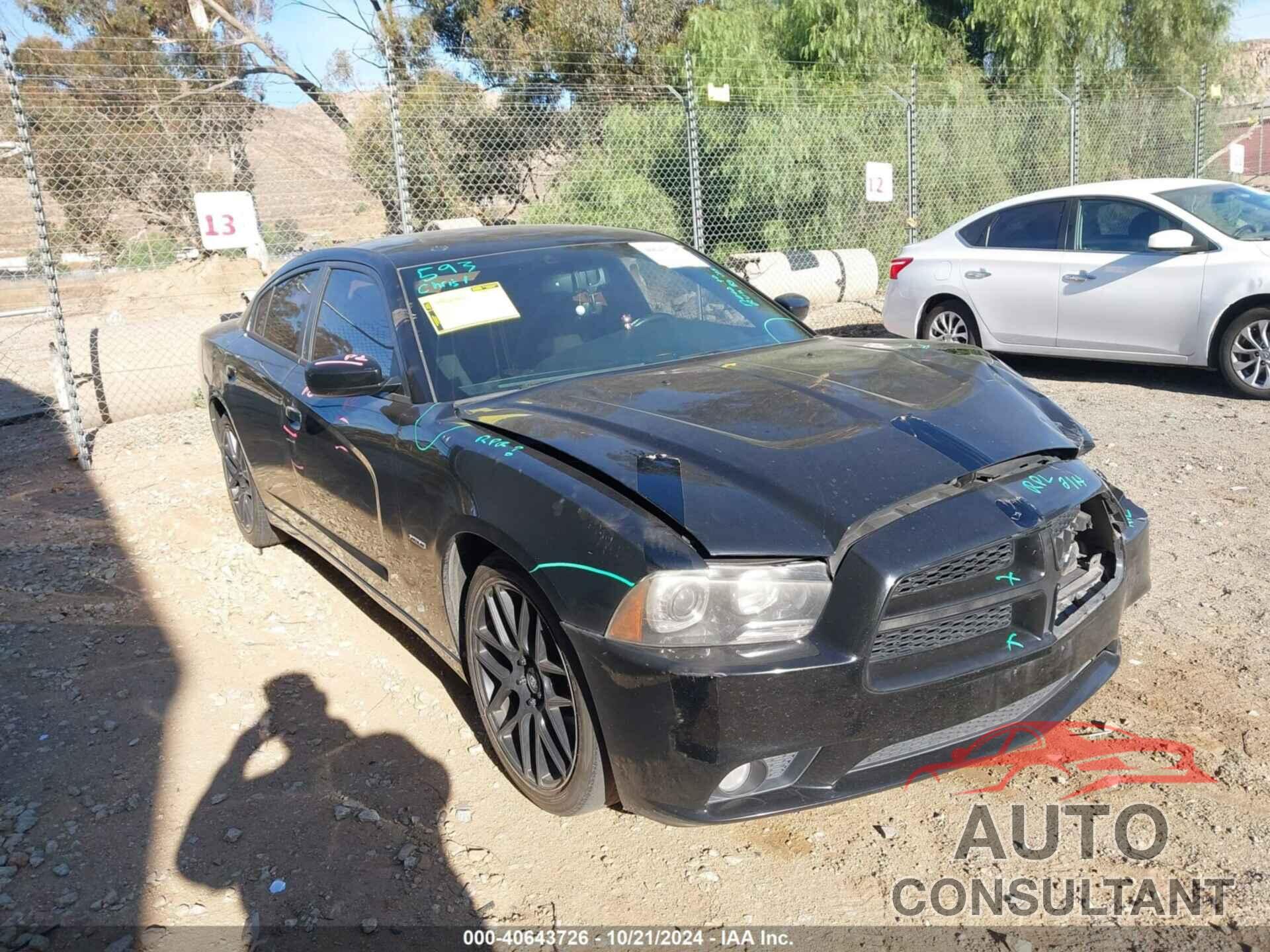 DODGE CHARGER 2014 - 2C3CDXCT0EH252452