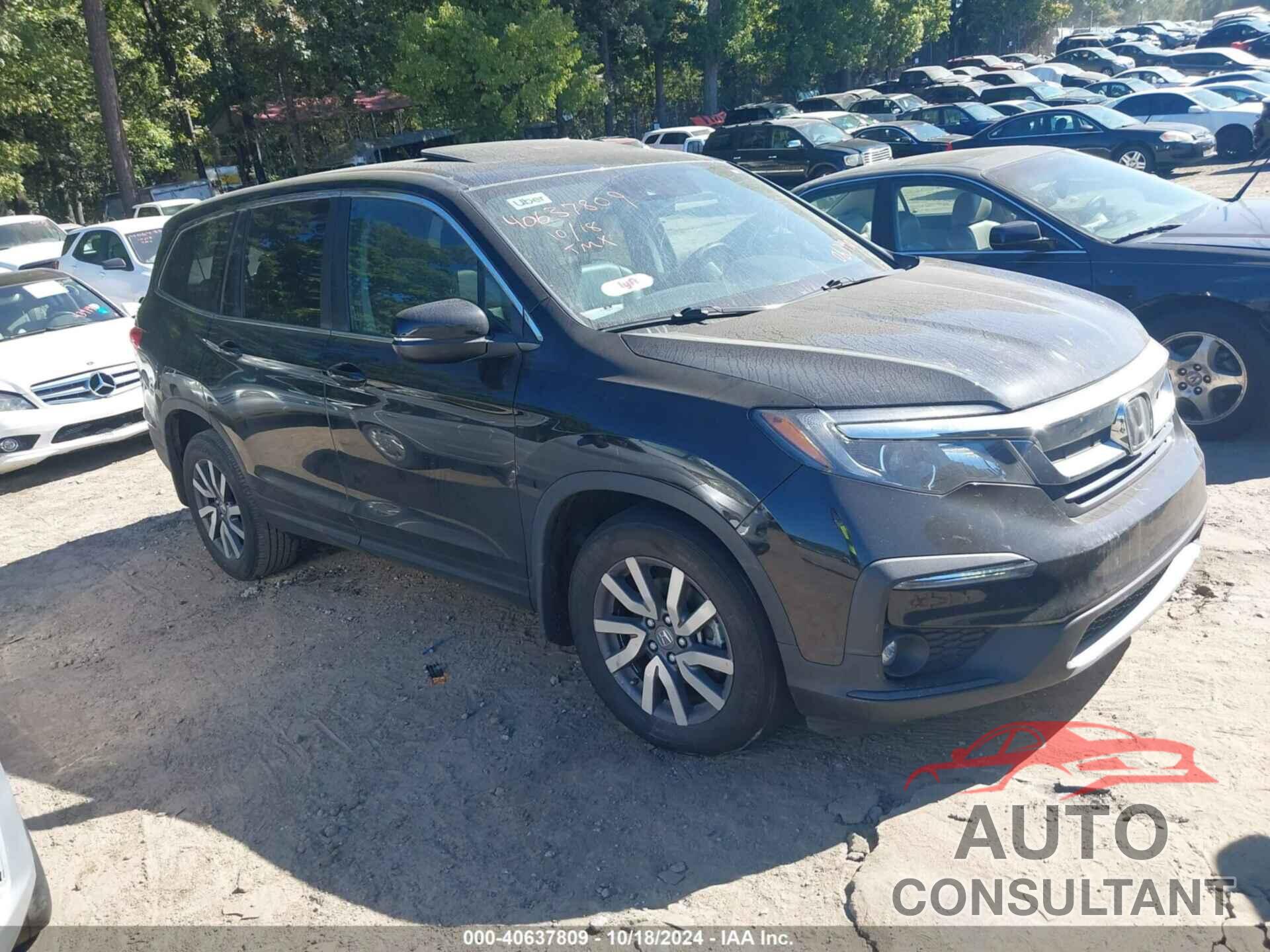 HONDA PILOT 2019 - 5FNYF6H56KB063998