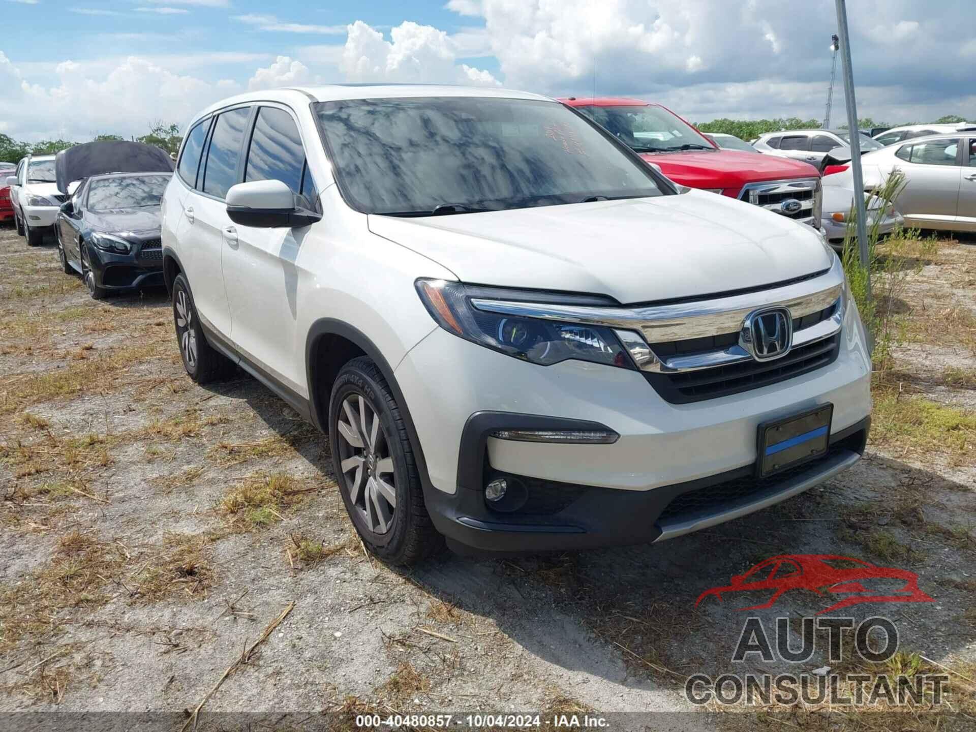 HONDA PILOT 2019 - 5FNYF6H5XKB064328