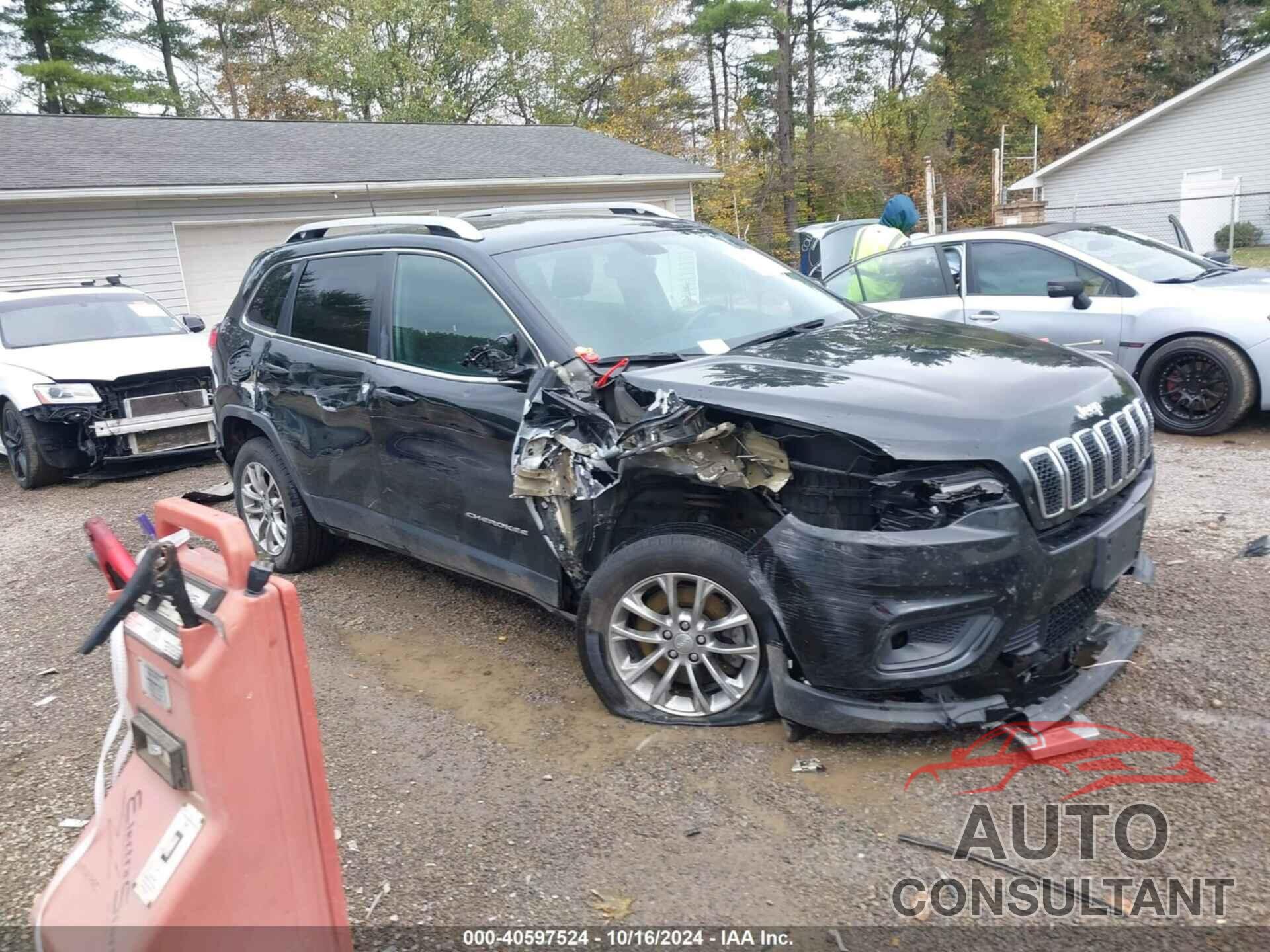 JEEP CHEROKEE 2019 - 1C4PJLLB2KD123319