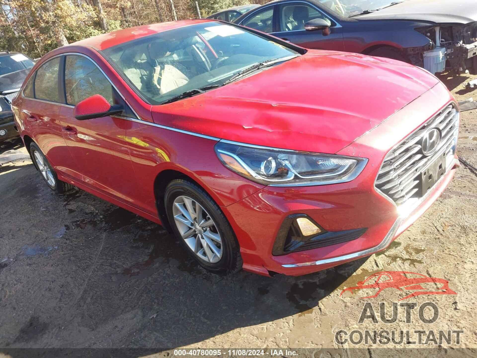 HYUNDAI SONATA 2019 - 5NPE24AF1KH807269