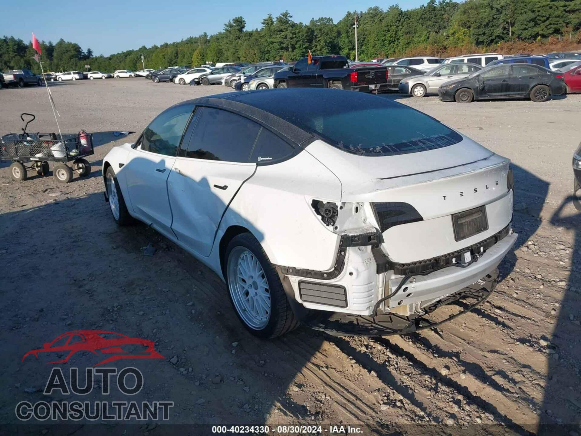 TESLA MODEL 3 2023 - 5YJ3E1EA2PF585231