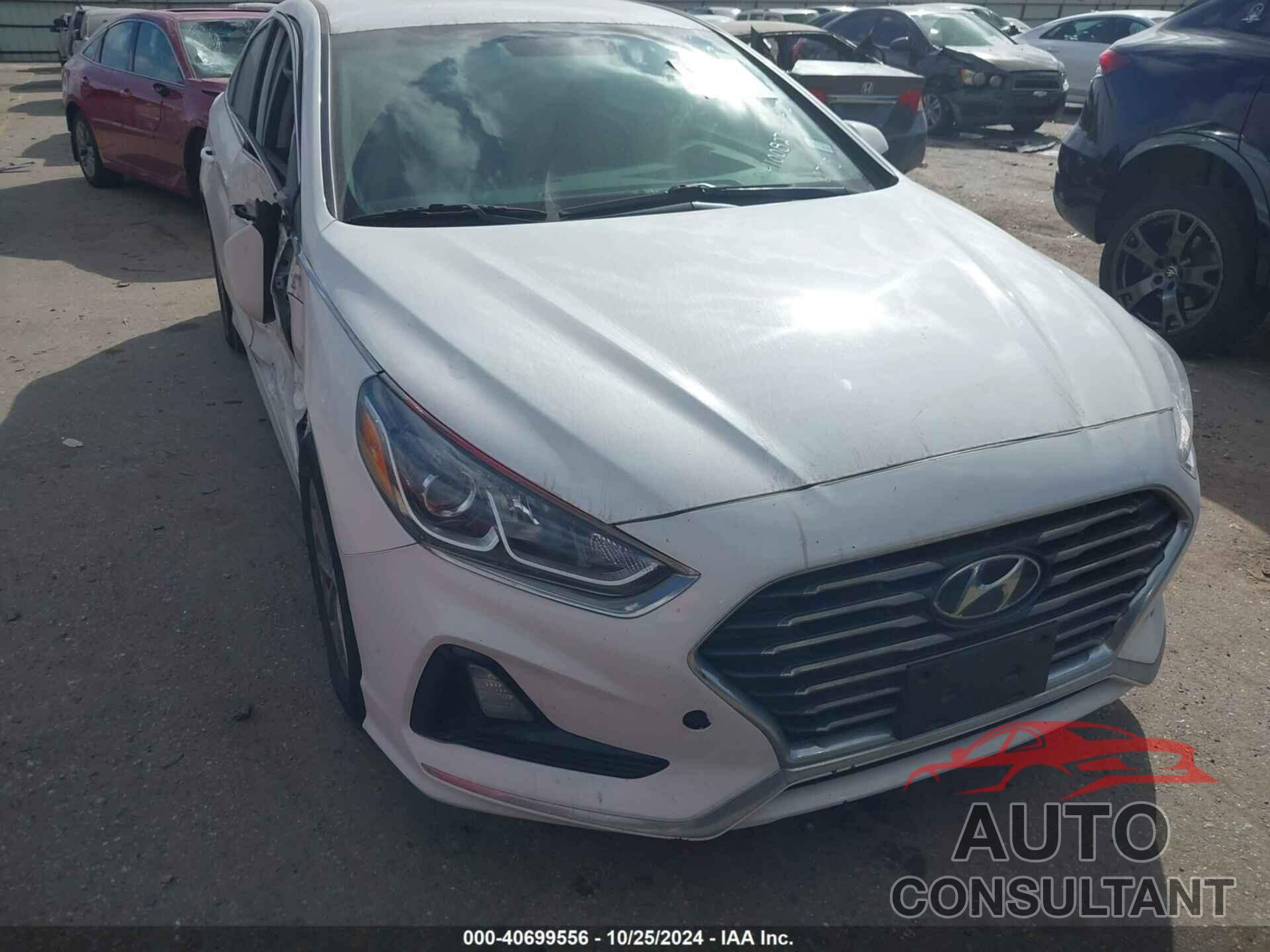 HYUNDAI SONATA 2019 - 5NPE24AF0KH782705