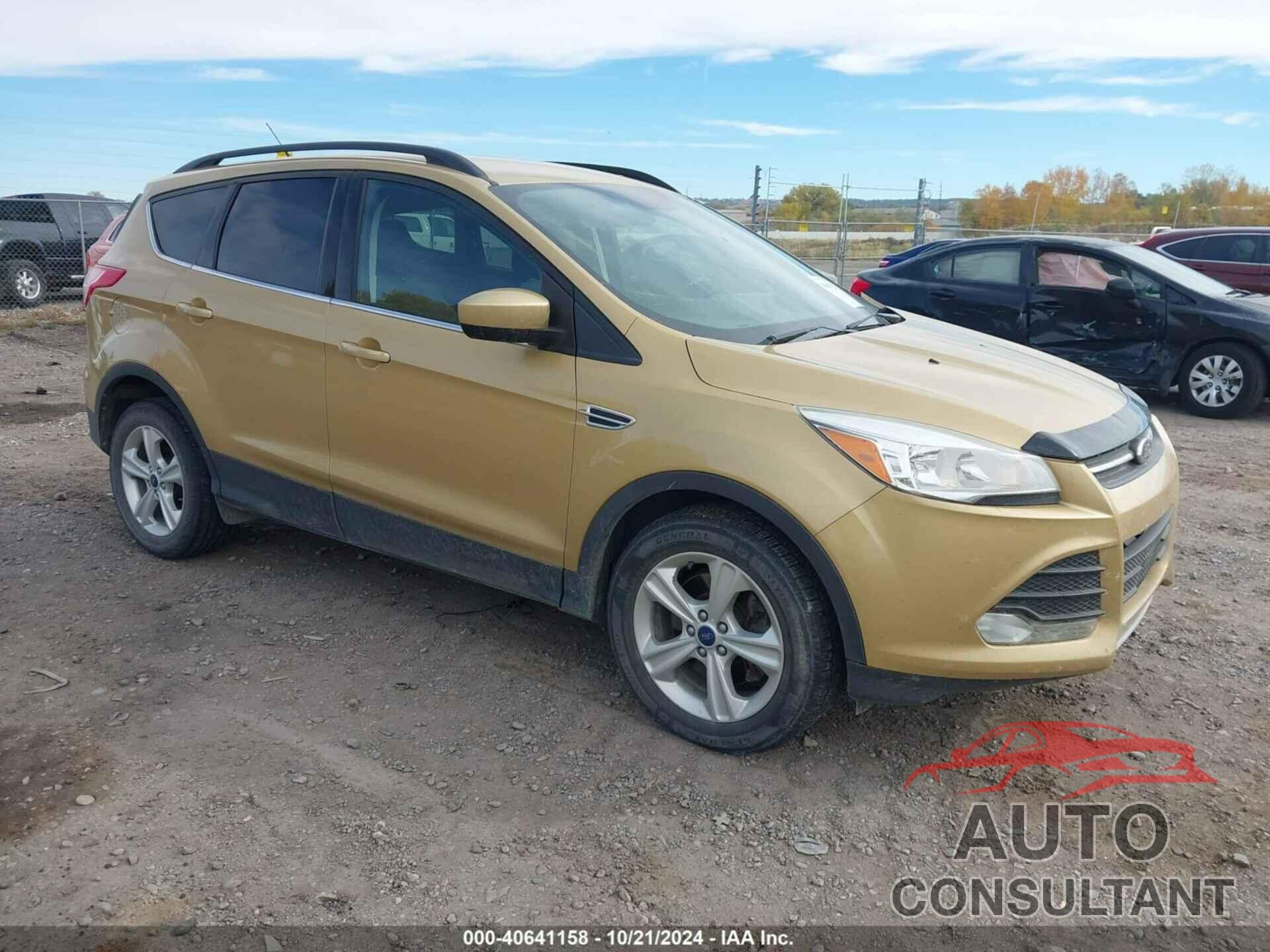 FORD ESCAPE 2014 - 1FMCU9GXXEUE42448