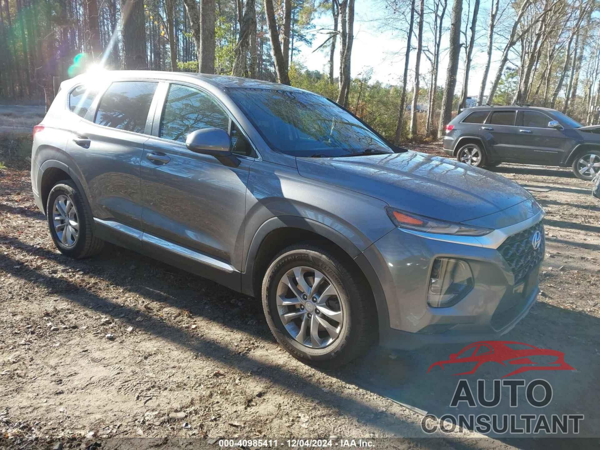 HYUNDAI SANTA FE 2019 - 5NMS2CAD6KH010749