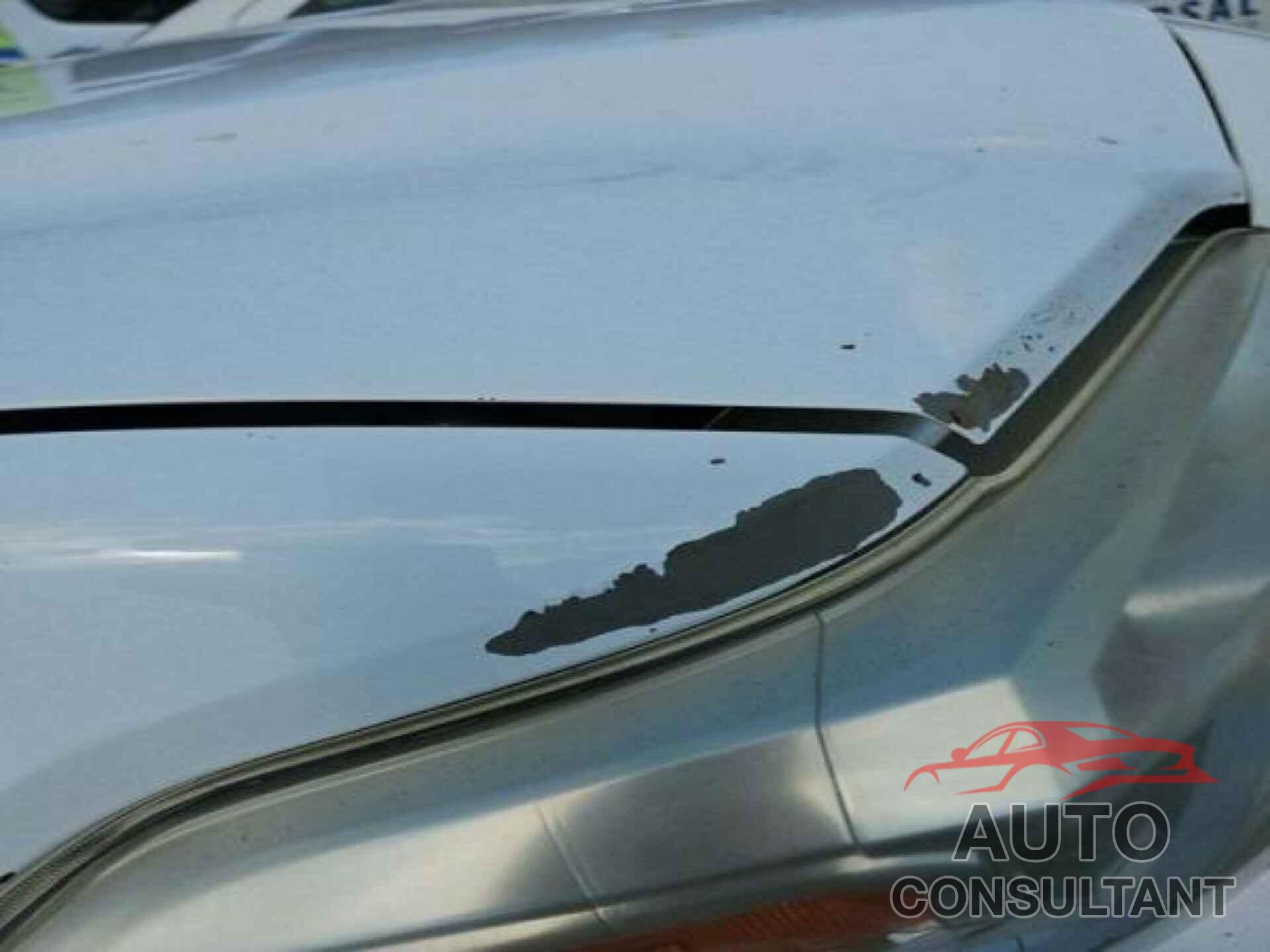 TOYOTA TACOMA 2016 - 5TFAX5GN0GX054933