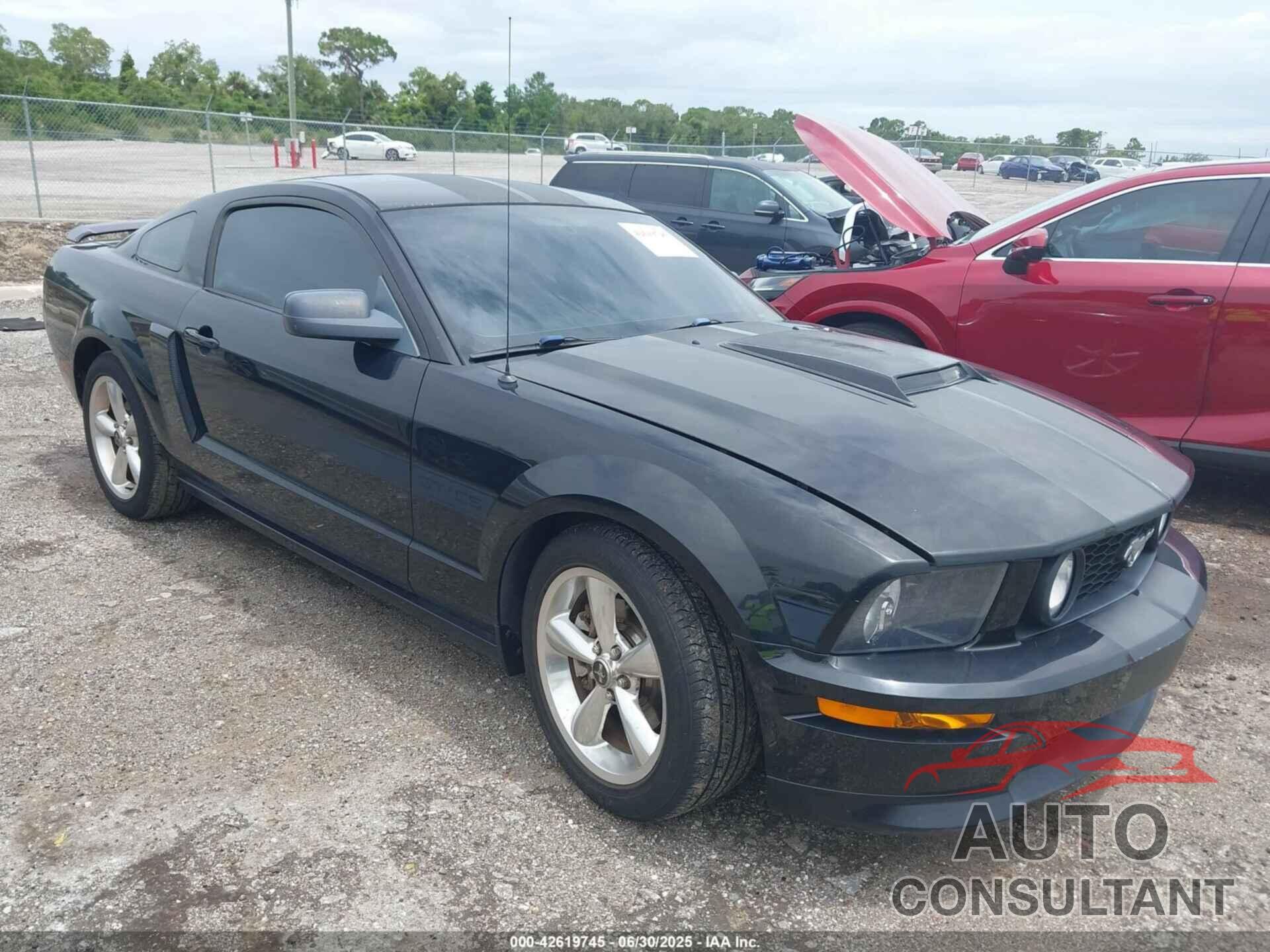 FORD MUSTANG 2009 - 1ZVHT82H595126914