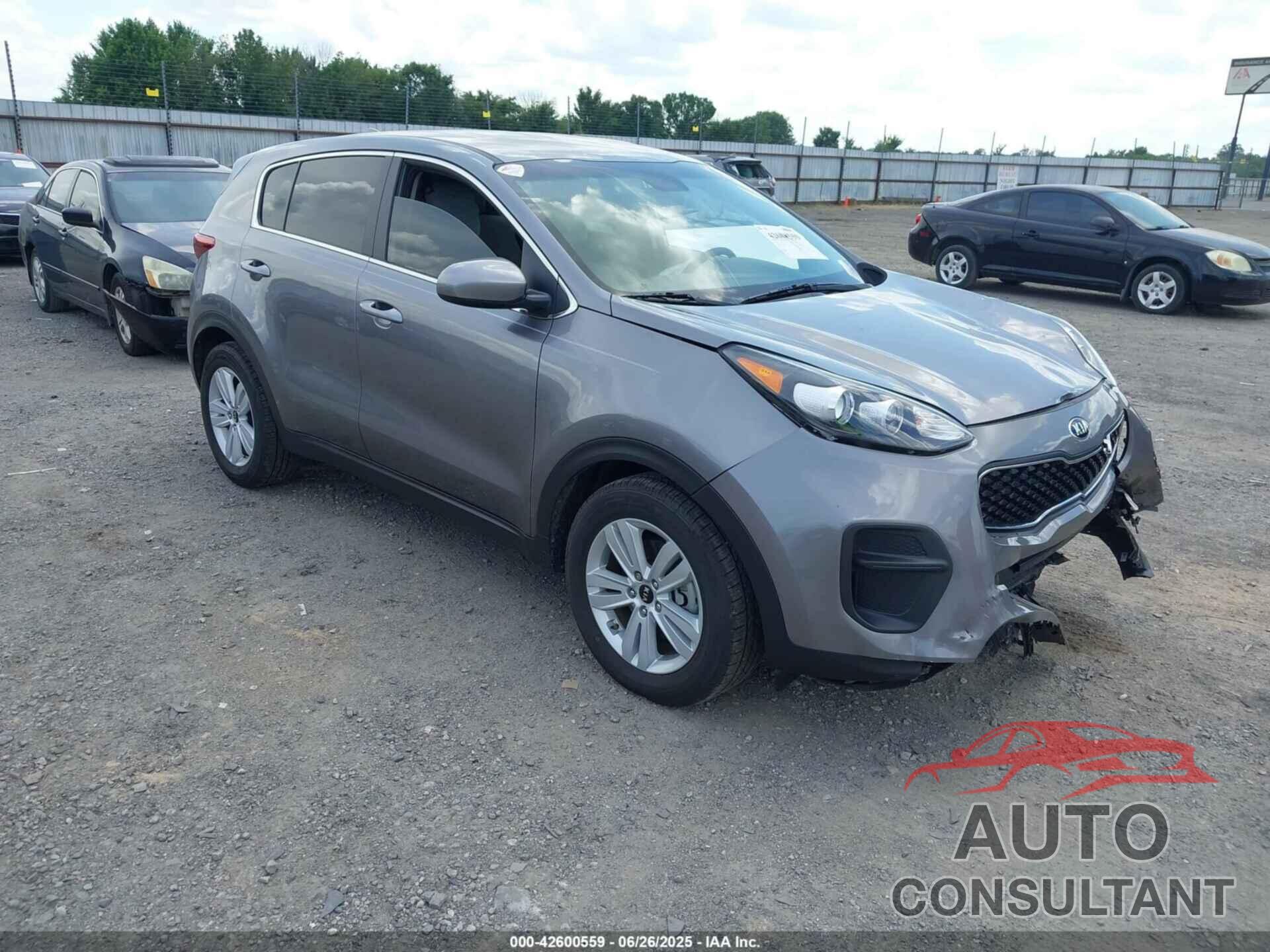 KIA SPORTAGE 2017 - KNDPM3AC9H7205820