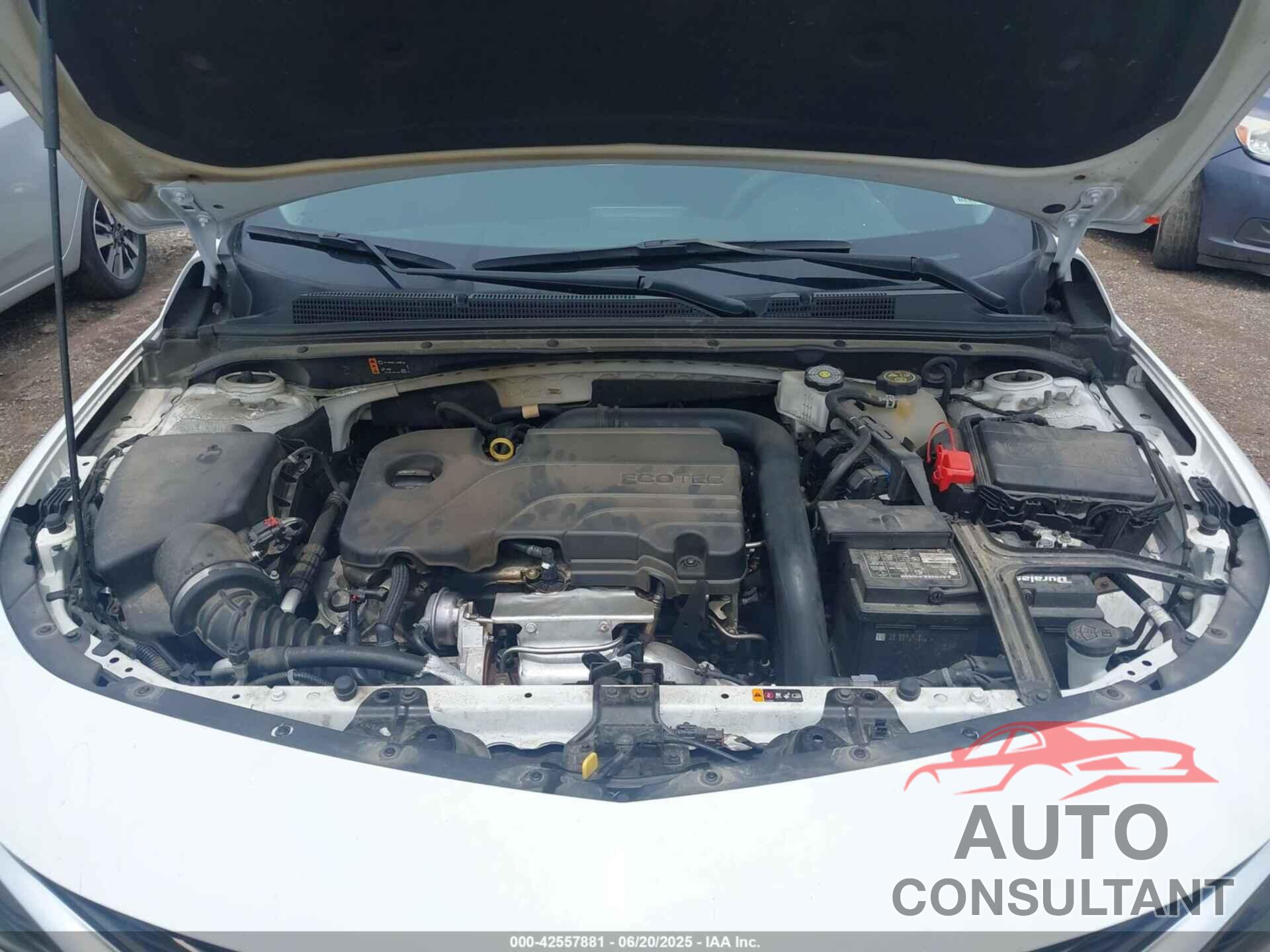 CHEVROLET MALIBU 2023 - 1G1ZD5ST1PF169475