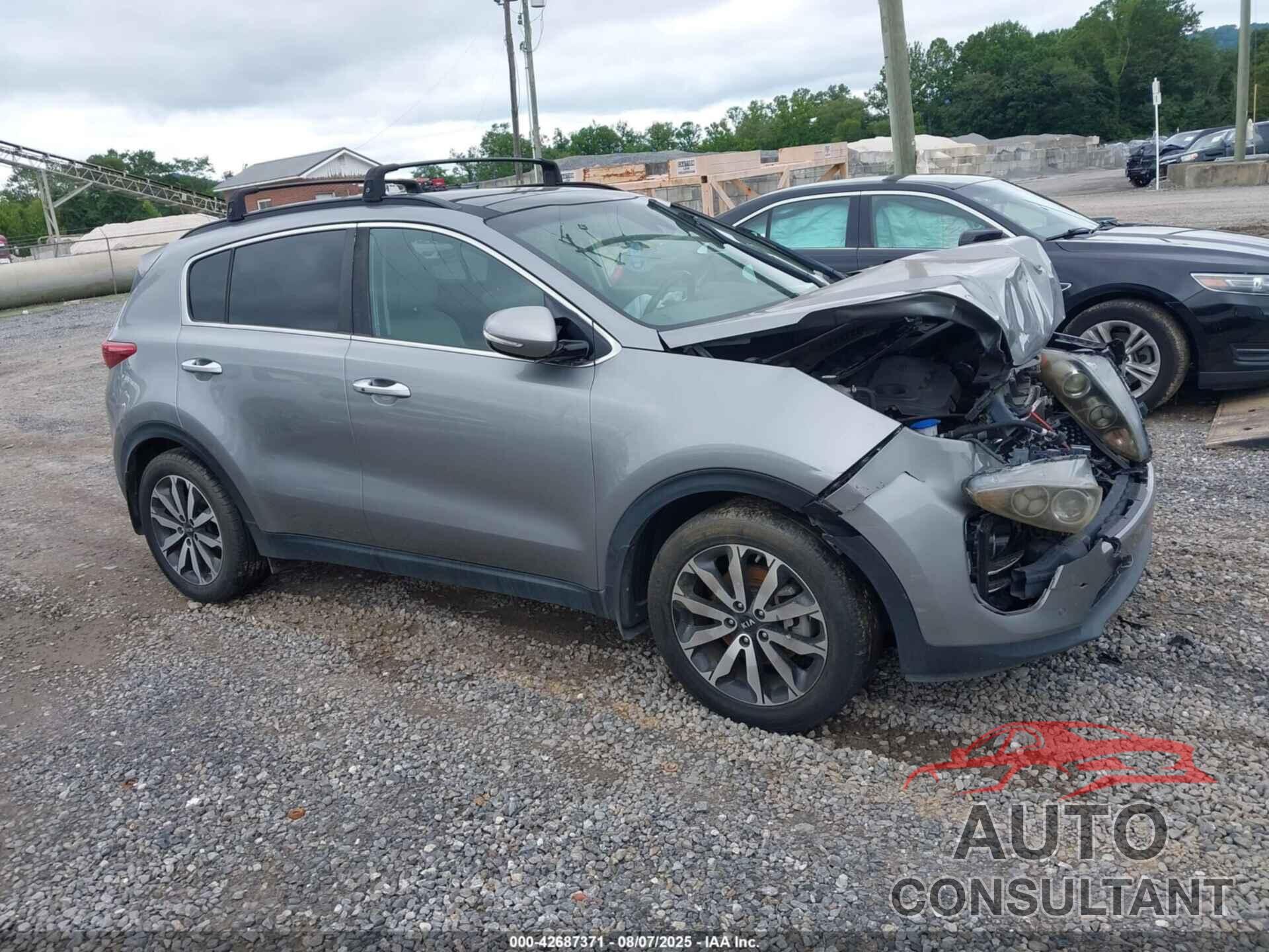 KIA SPORTAGE 2019 - KNDPN3AC5K7564585