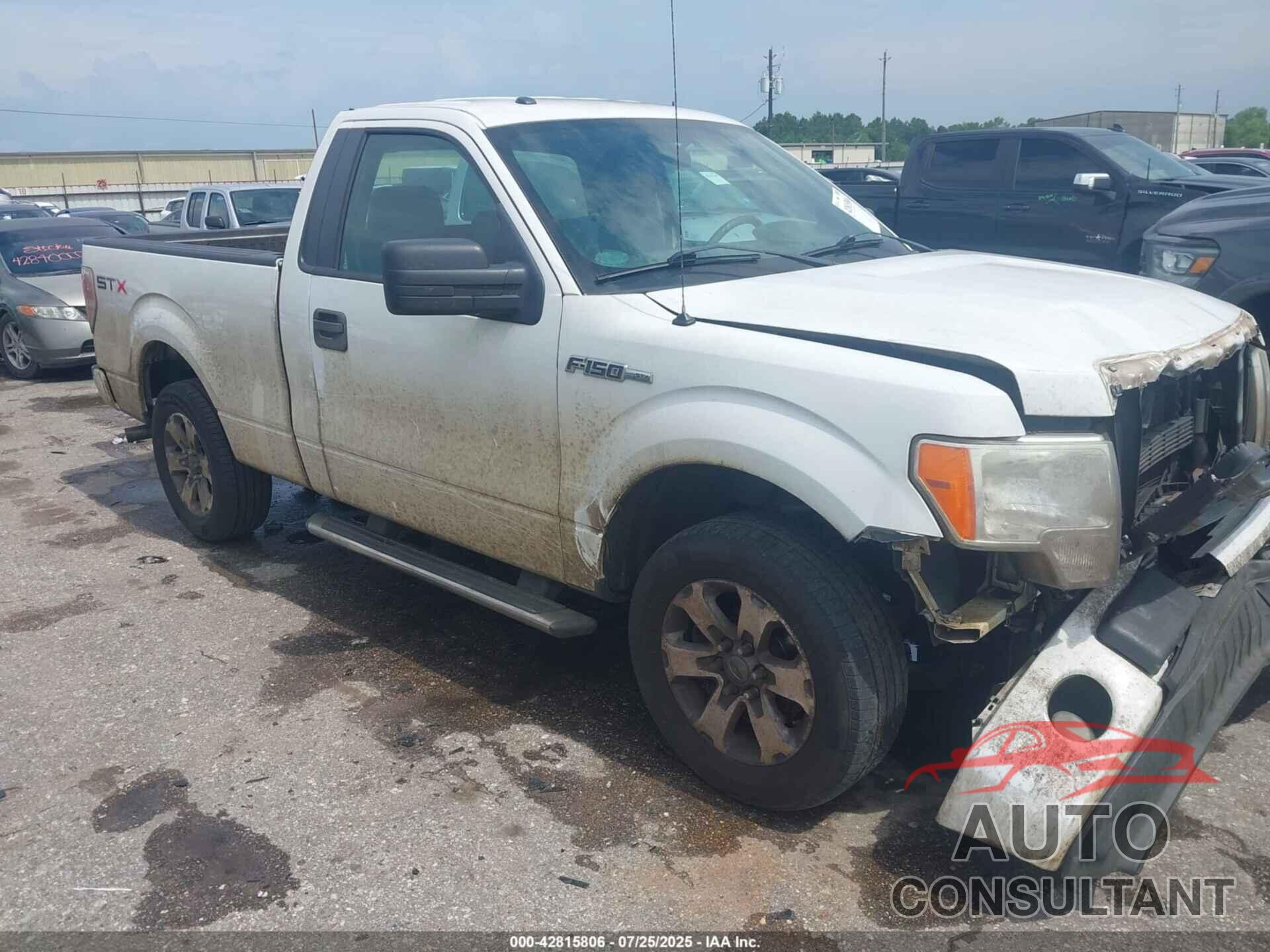 FORD F-150 2013 - 1FTMF1CFXDFC94614