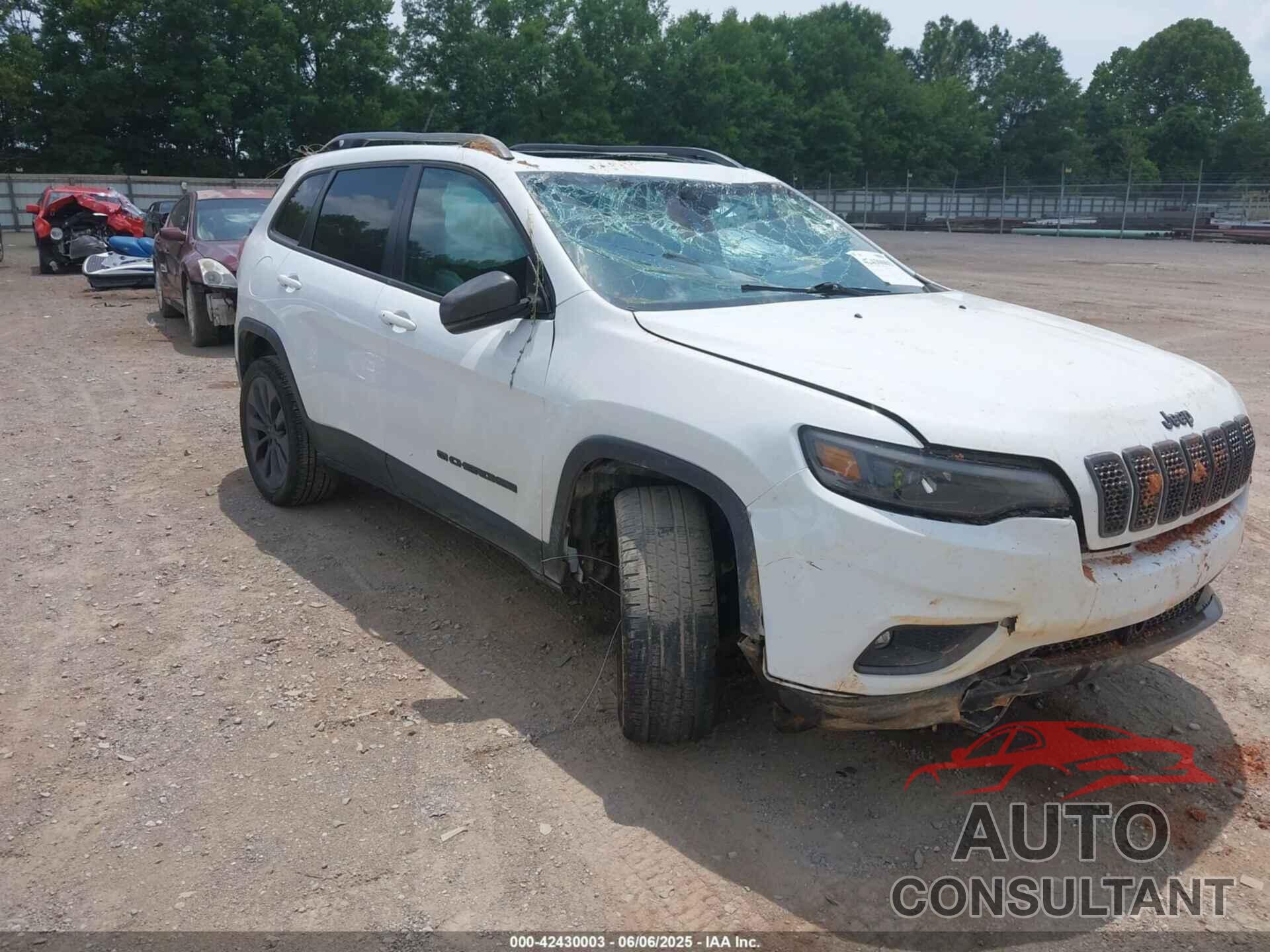 JEEP CHEROKEE 2021 - 1C4PJMMX1MD204881