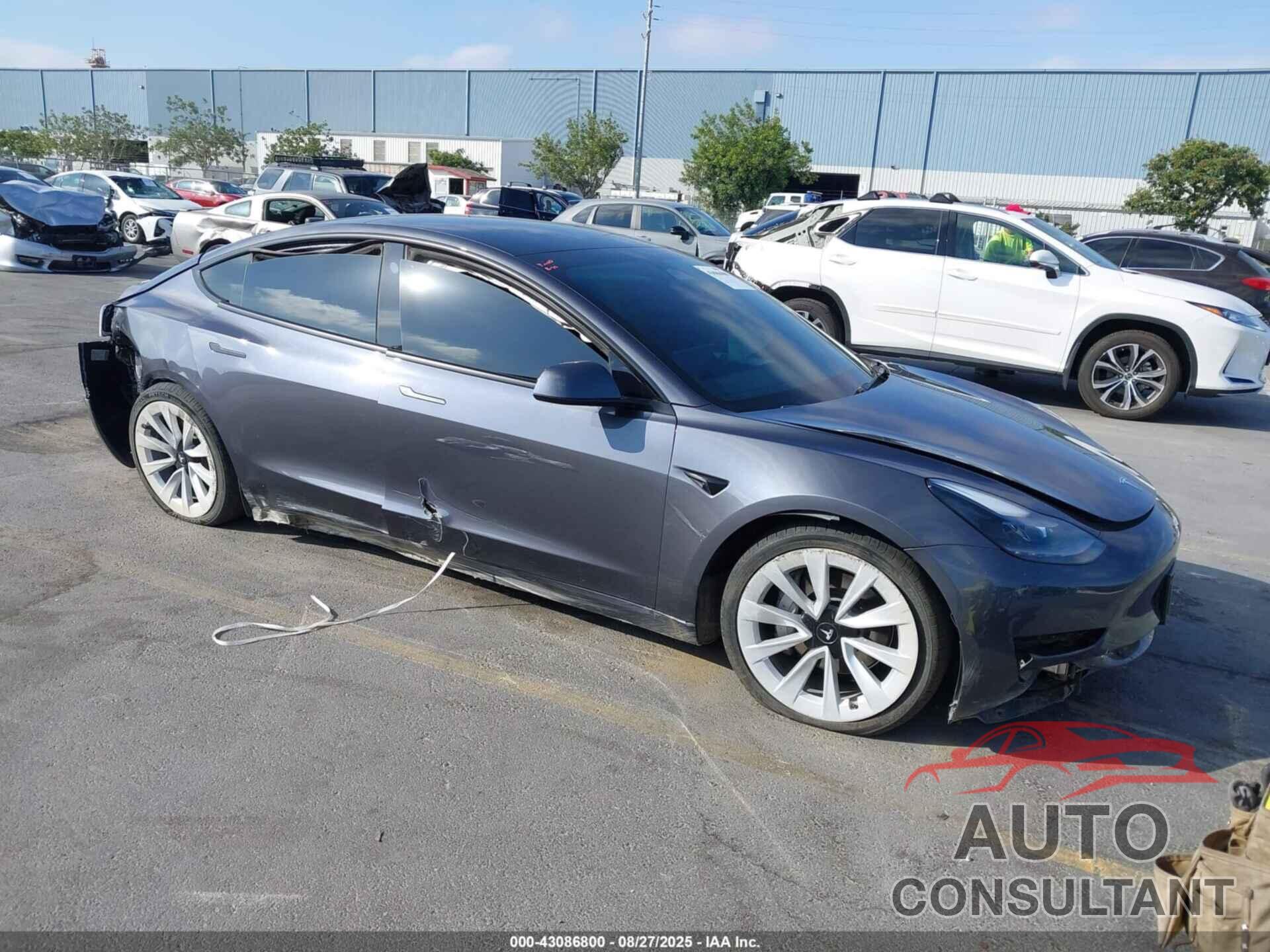 TESLA MODEL 3 2023 - 5YJ3E1EA0PF668981