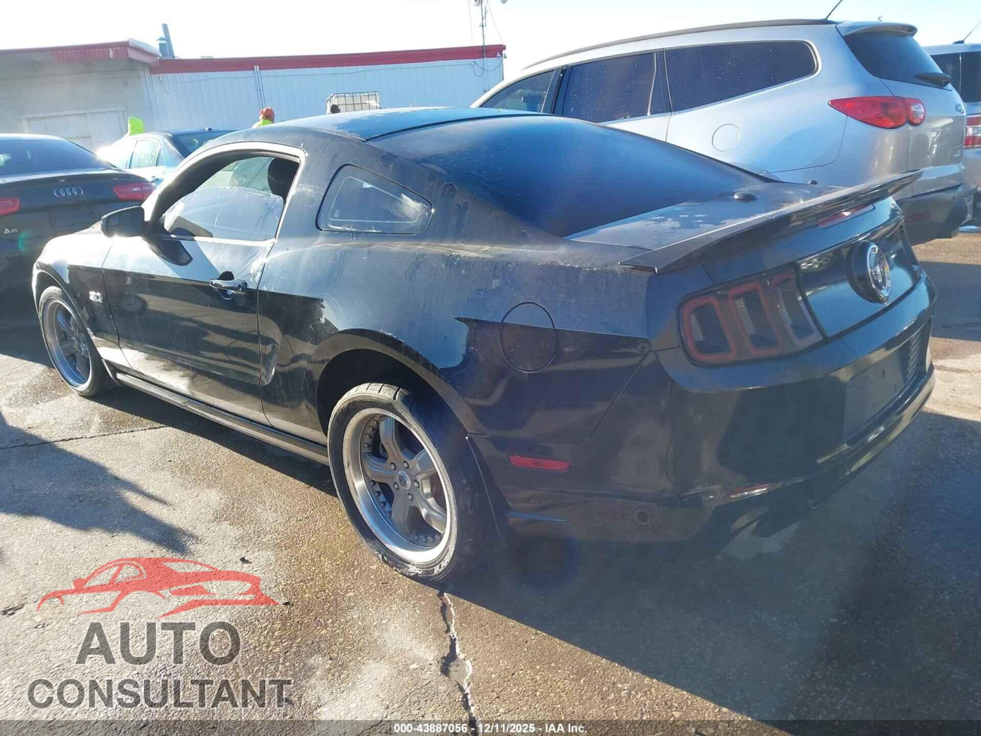 FORD MUSTANG 2014 - 1ZVBP8CF8E5243548