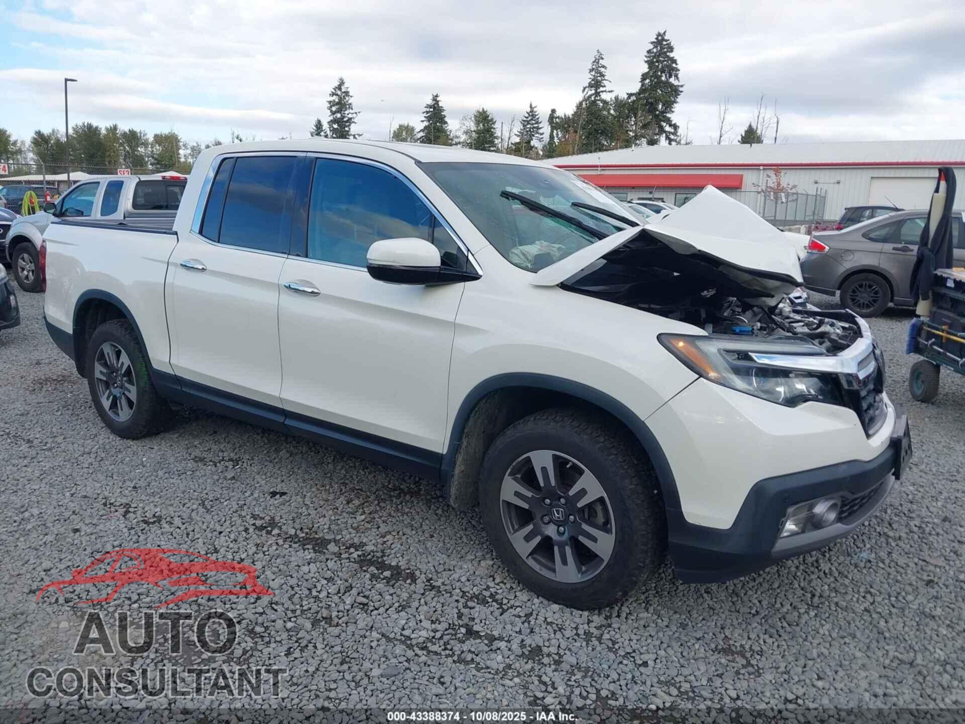HONDA RIDGELINE 2019 - 5FPYK3F75KB007587