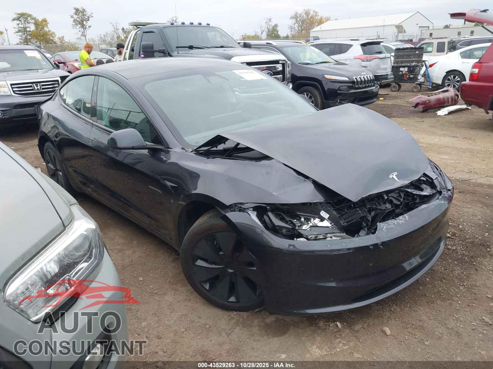 TESLA MODEL 3 2024 - 5YJ3E1EB5RF795124