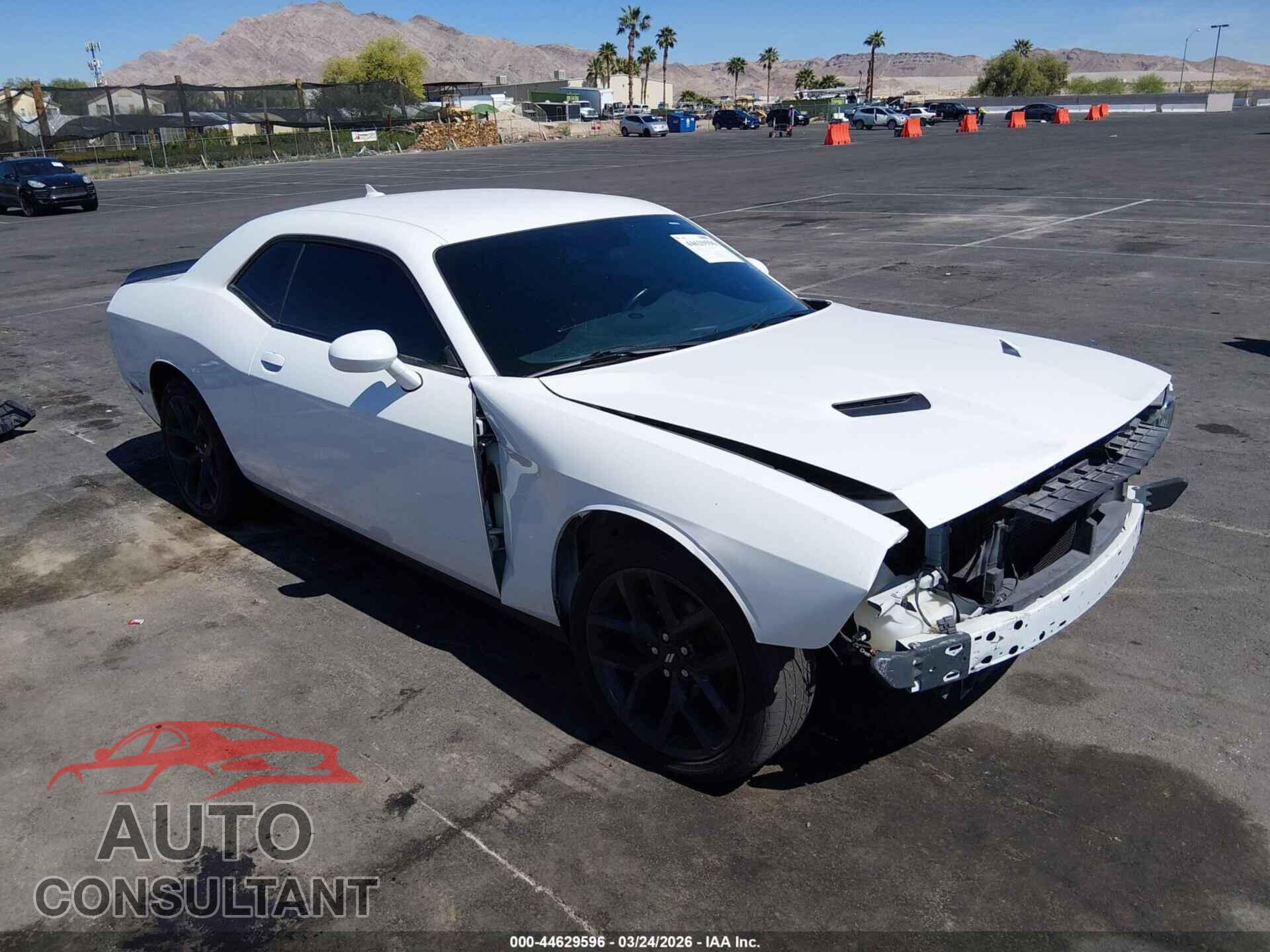 DODGE CHALLENGER 2019 - 2C3CDZAG4KH691571