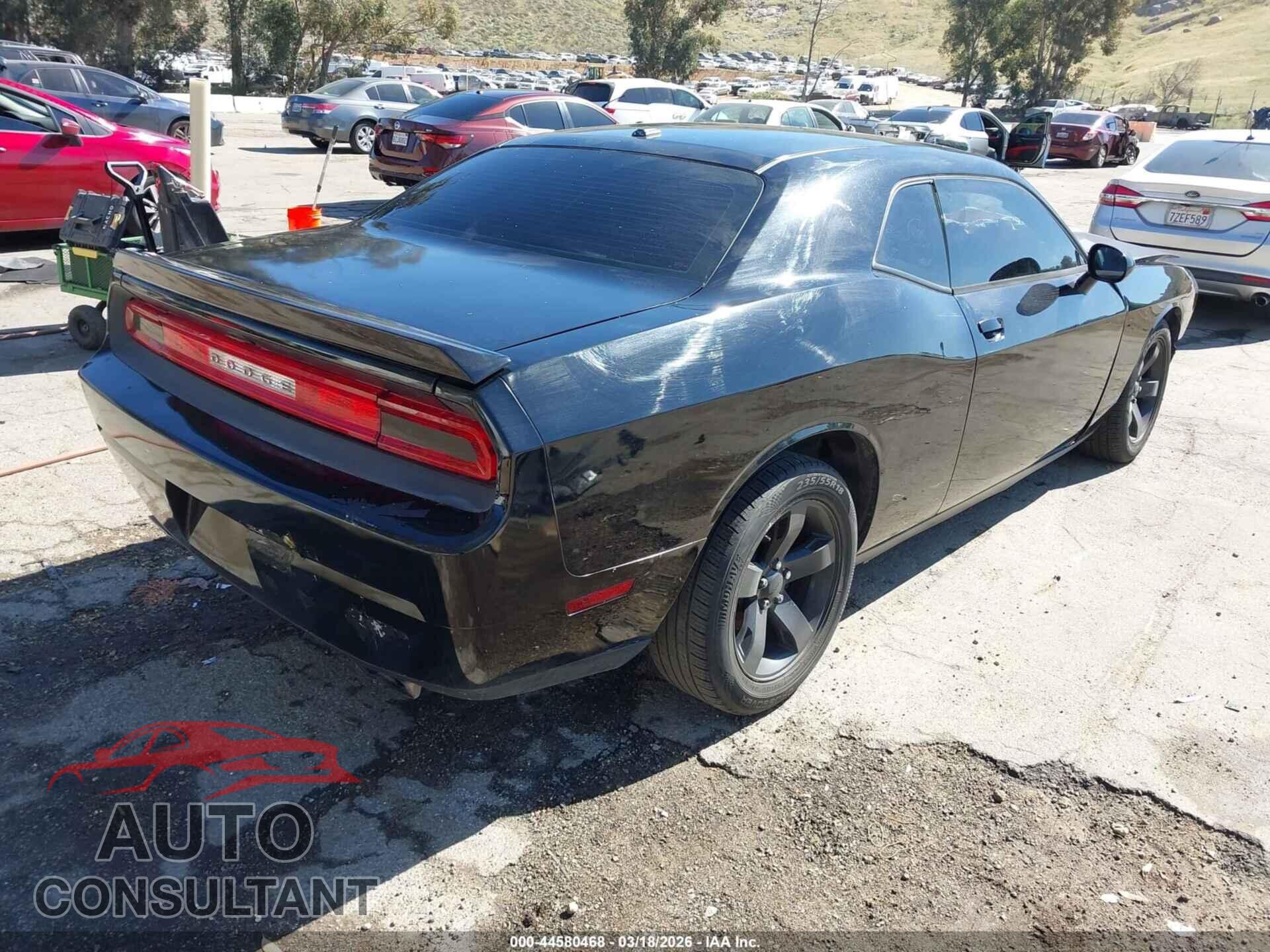 DODGE CHALLENGER 2013 - 2C3CDYAG6DH676454