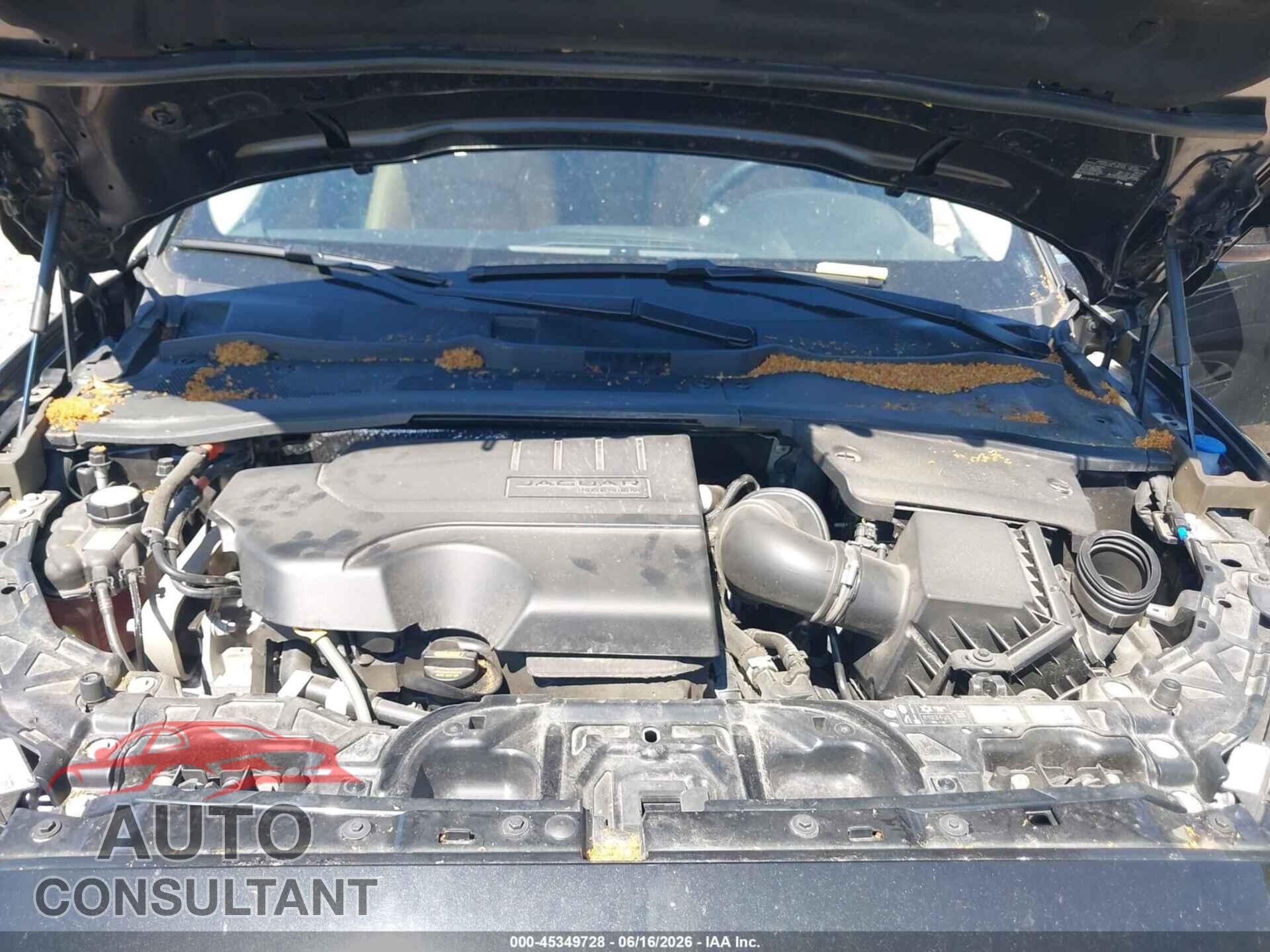 JAGUAR E-PACE 2022 - SADFP2FXXN1029873