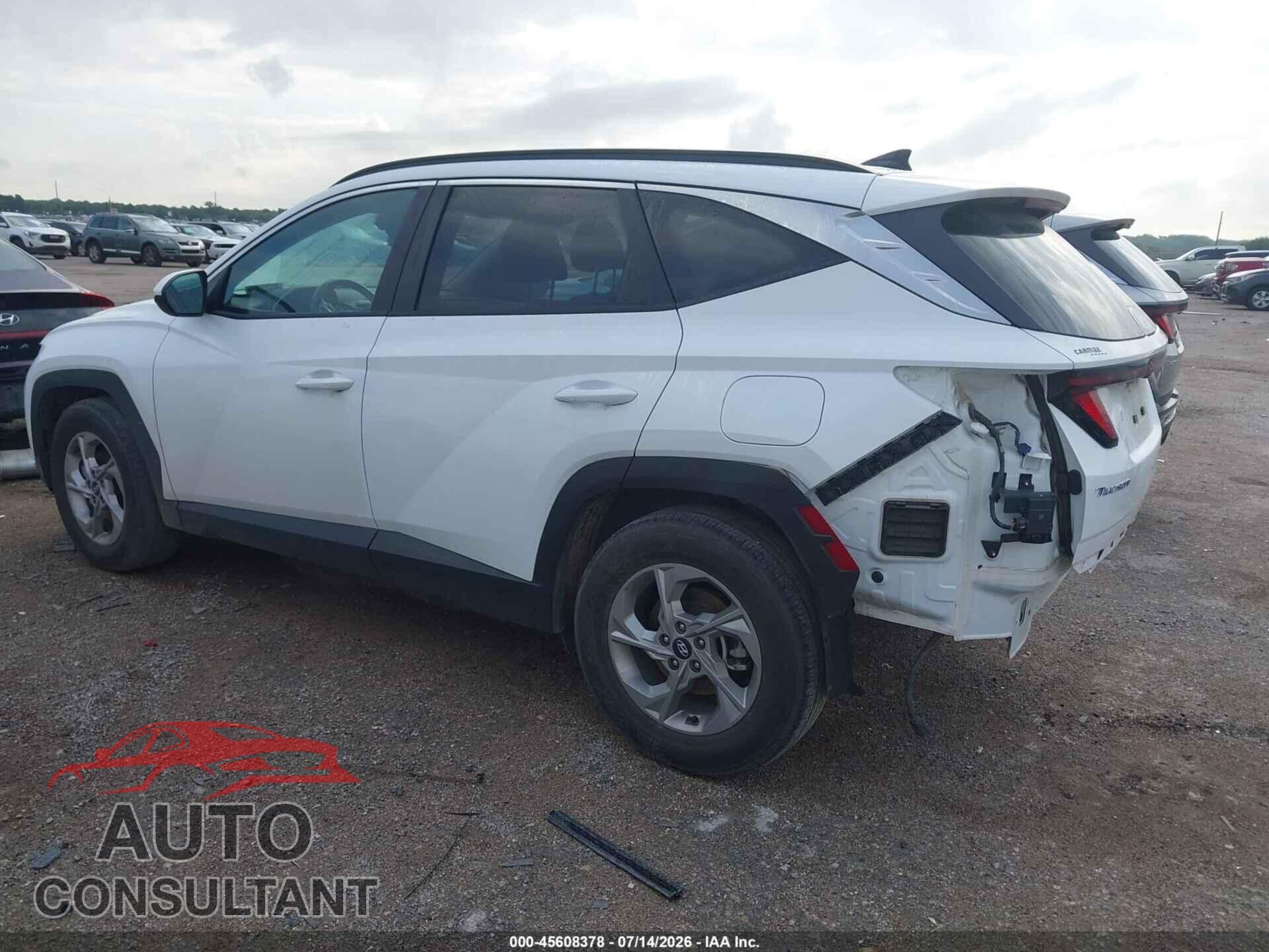 HYUNDAI TUCSON 2024 - 5NMJB3DE2RH395382