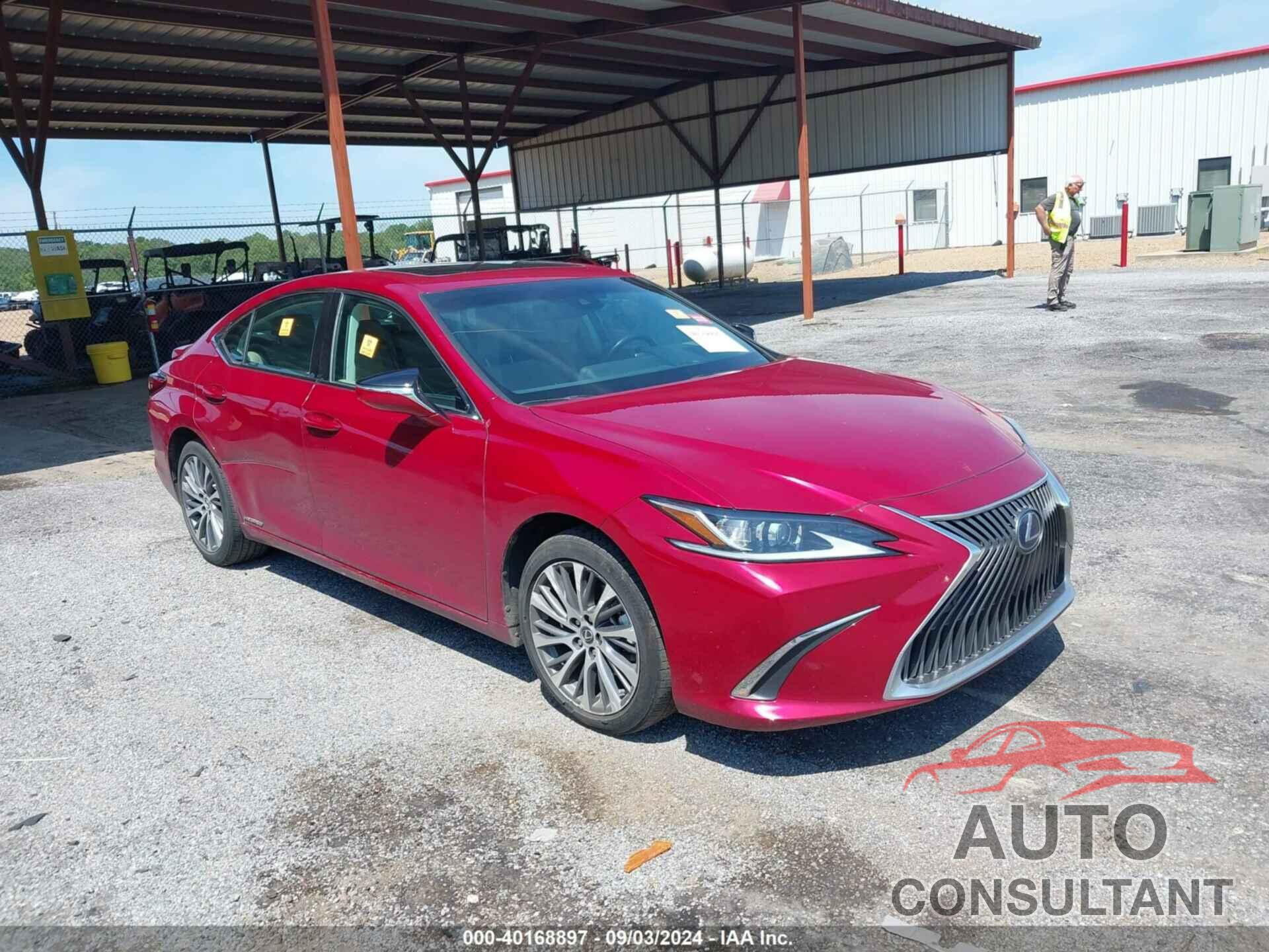 LEXUS ES 300H 2021 - 58ADA1C13MU007858